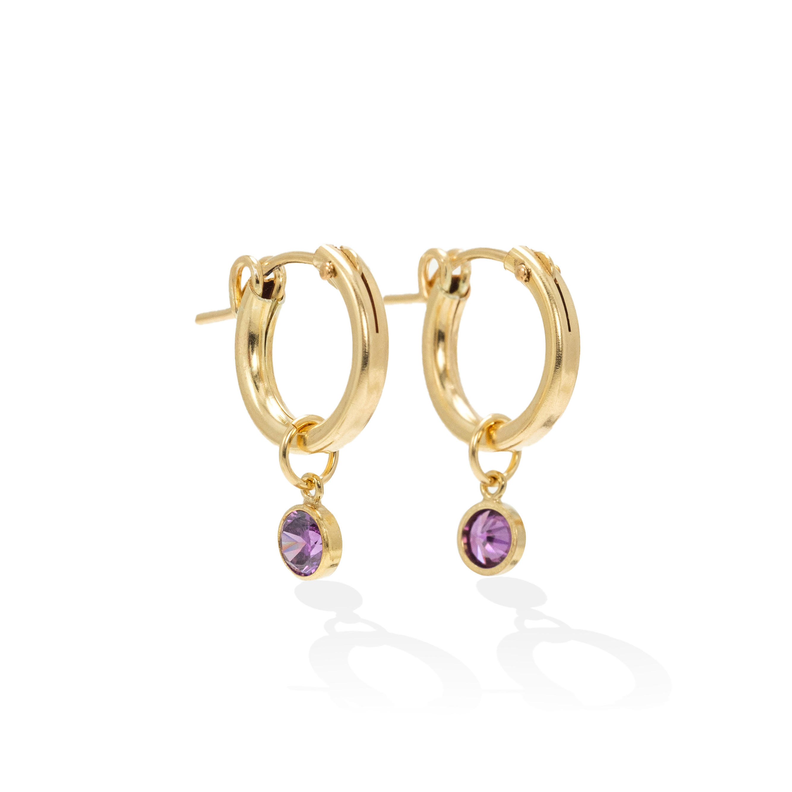 Picture of Birthstone Gold-Filled Hoop Earrings - February