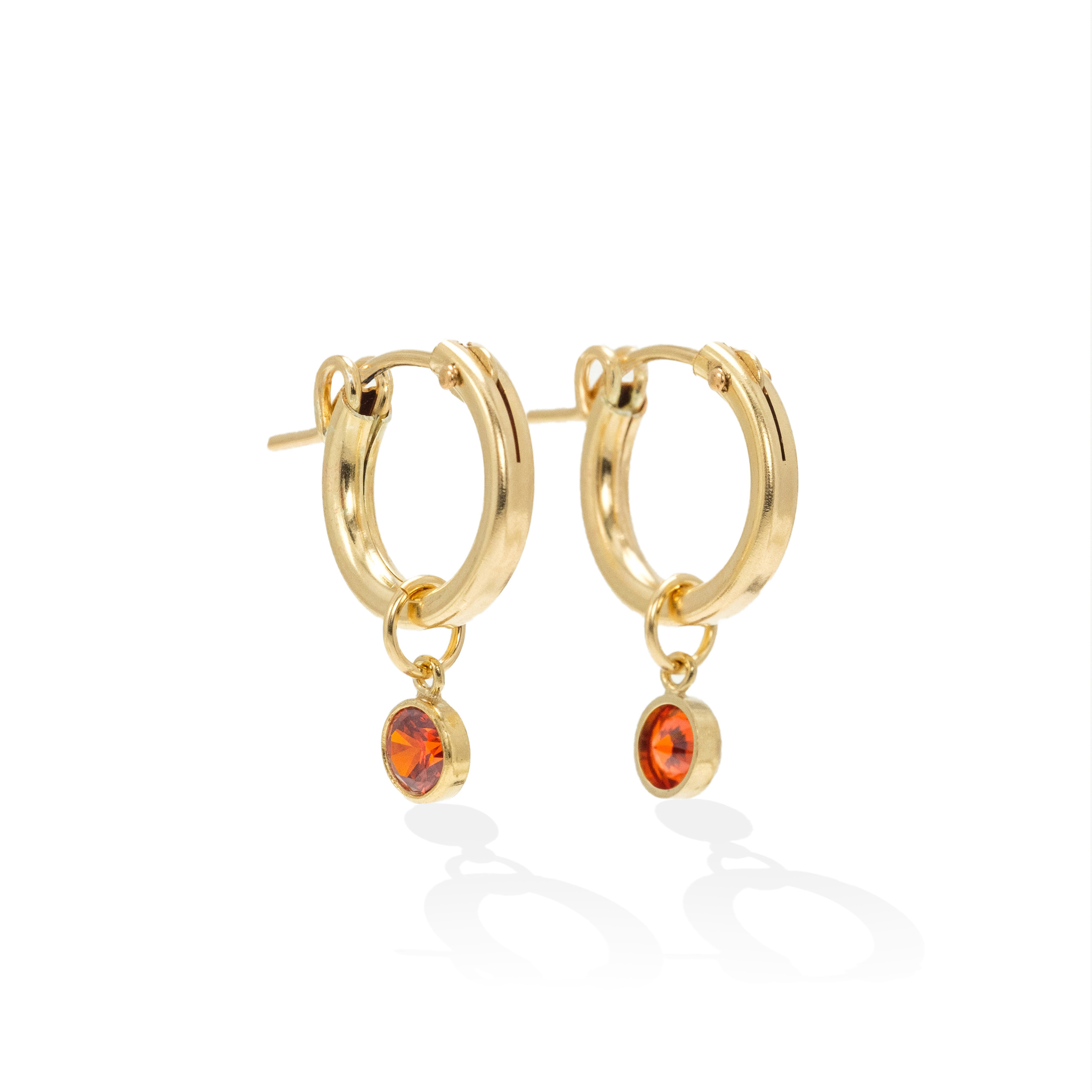 Picture of Birthstone Gold-Filled Hoop Earrings - January