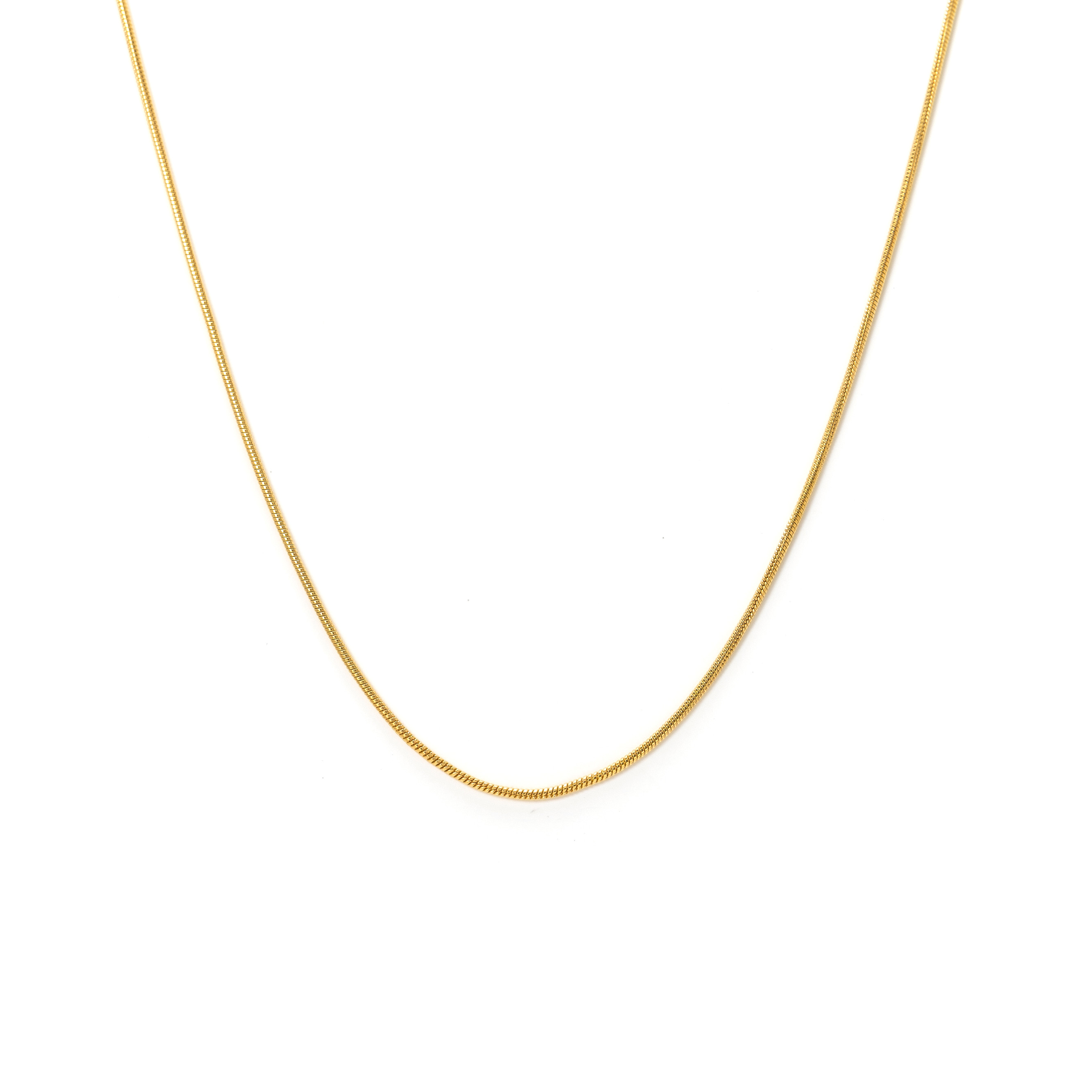 Picture of Snake Chain Gold-Filled Necklace