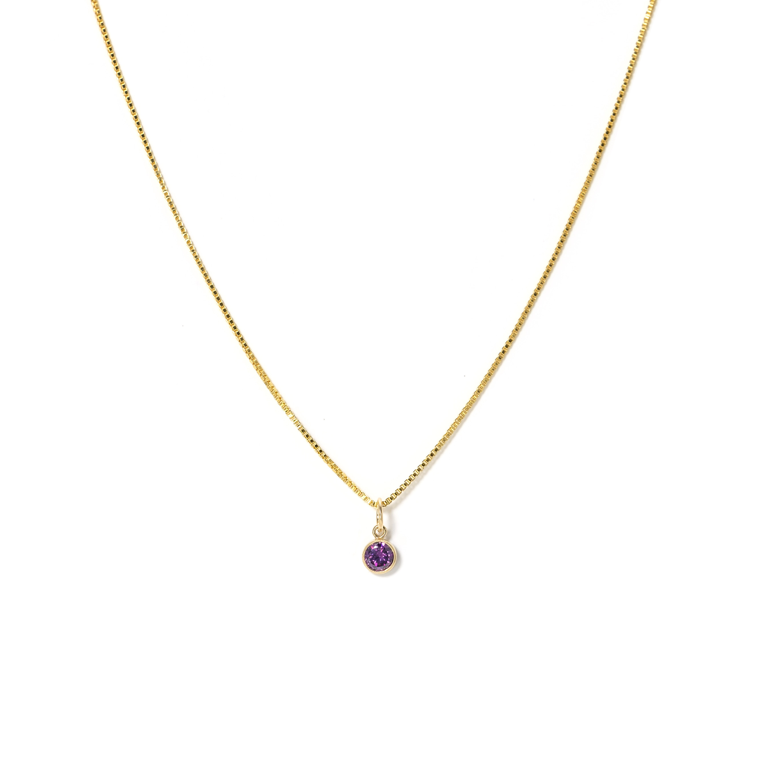 Picture of Birthstone Gold-Filled Necklace - February