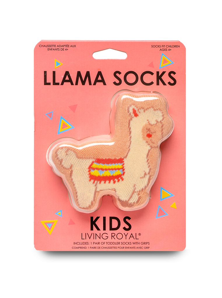 Picture of Llama 3D