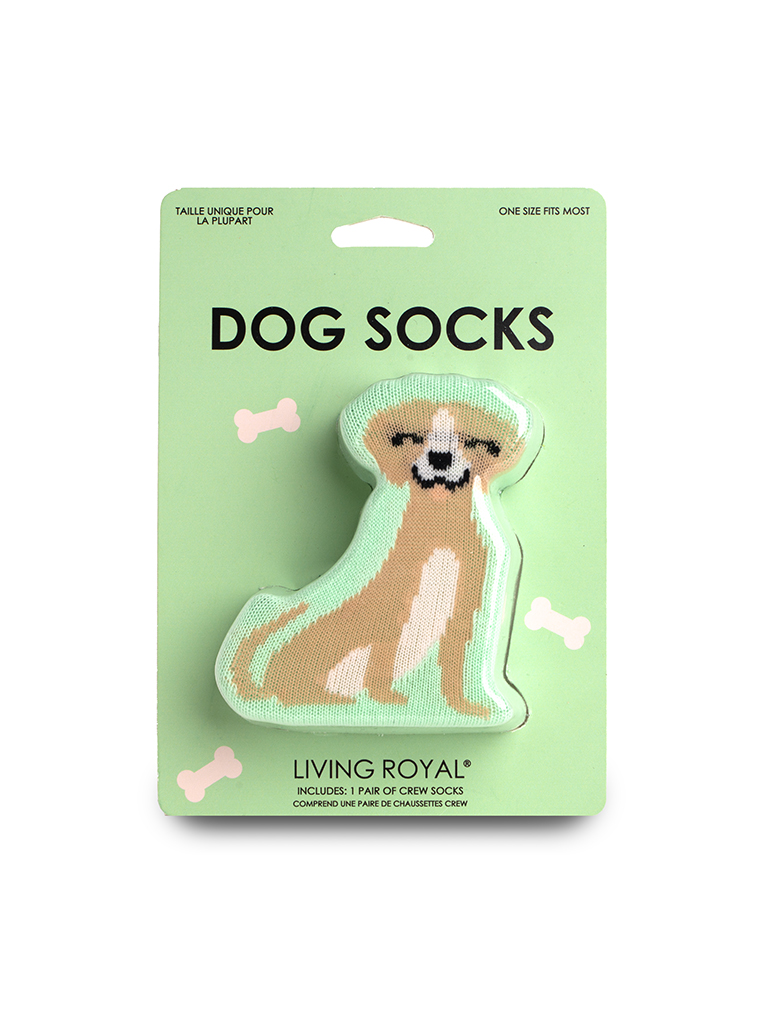 Picture of Dog 3D