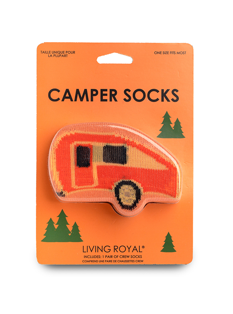Picture of Camper 3D