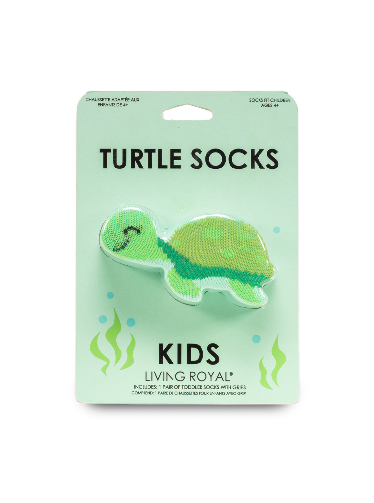 Picture of Turtle 3D Kids