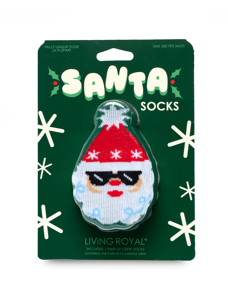 Picture of Fun Santa 3D