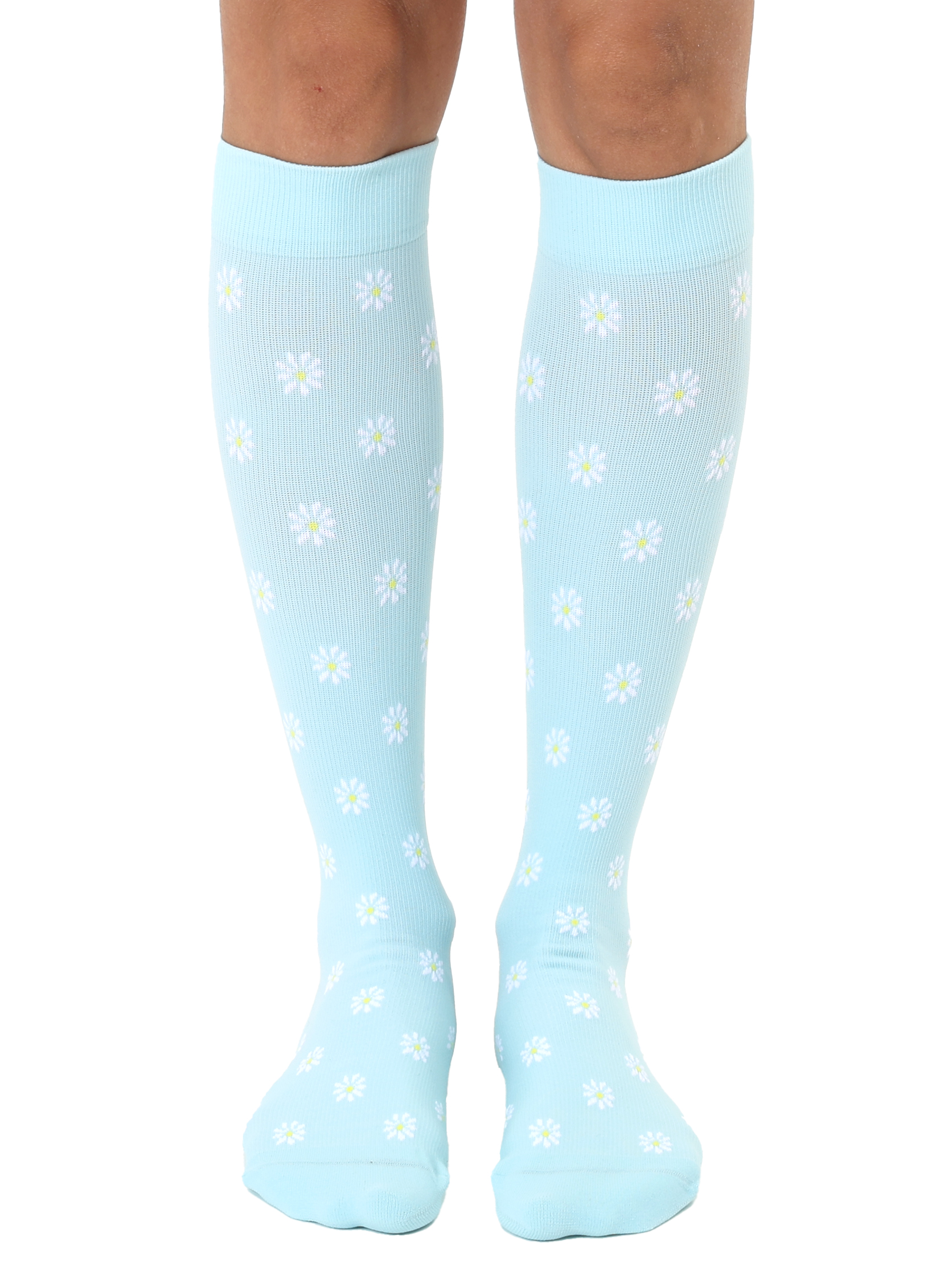 Picture of Daisy Compression