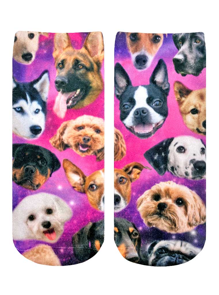 Picture of Galaxy Puppy Ankle