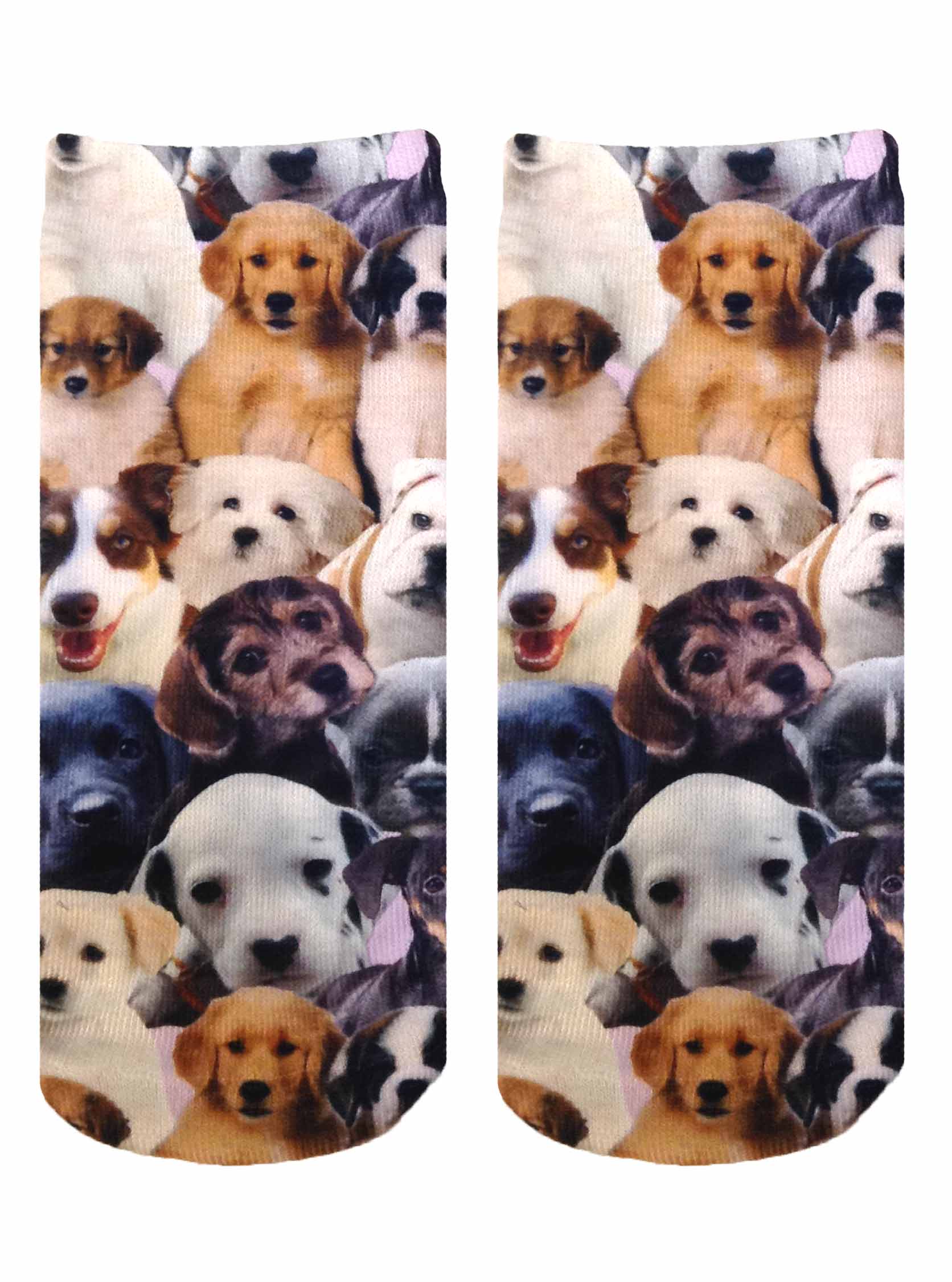 Picture of Puppy All Over Ankle
