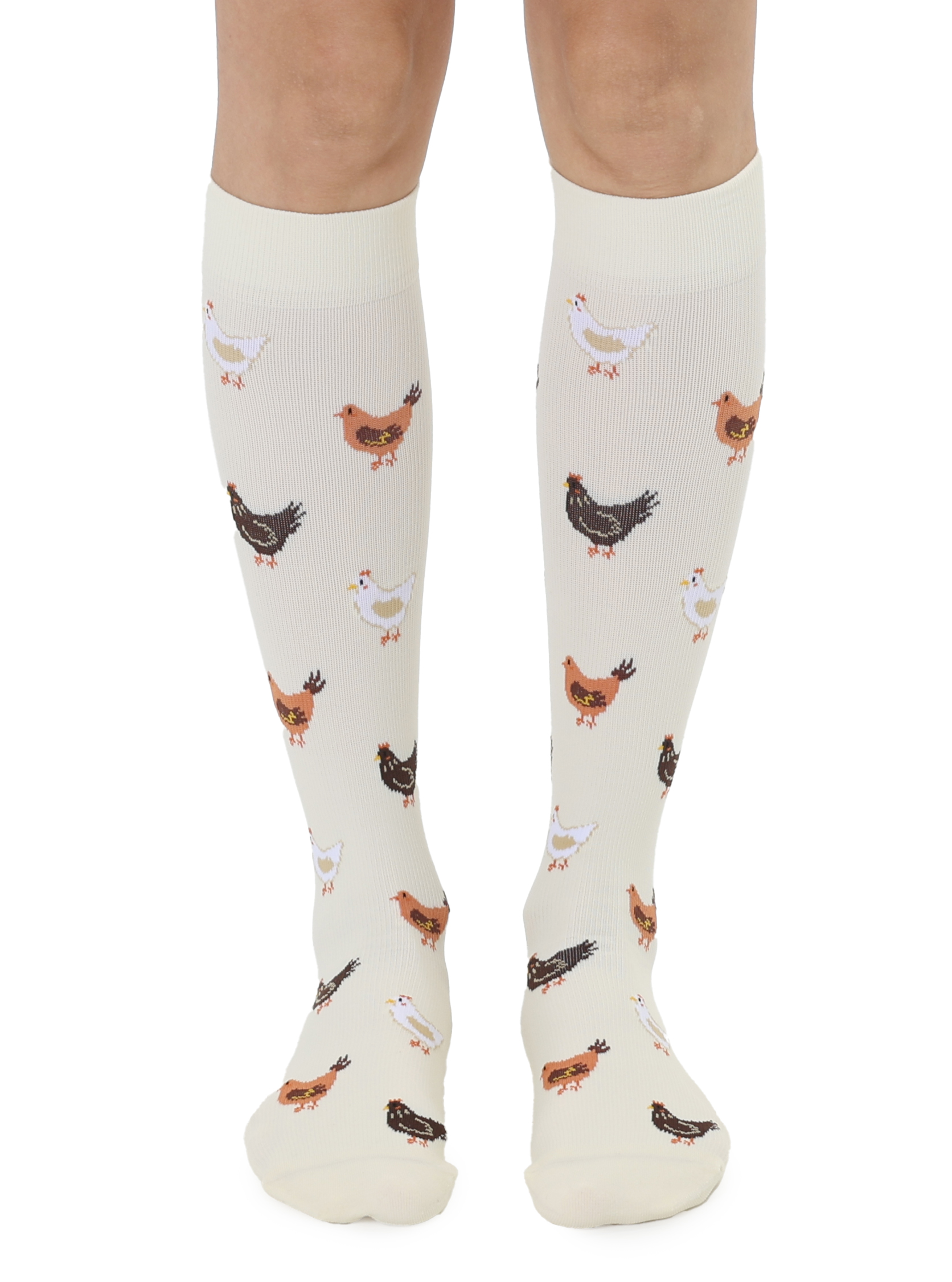 Picture of Chicken Compression