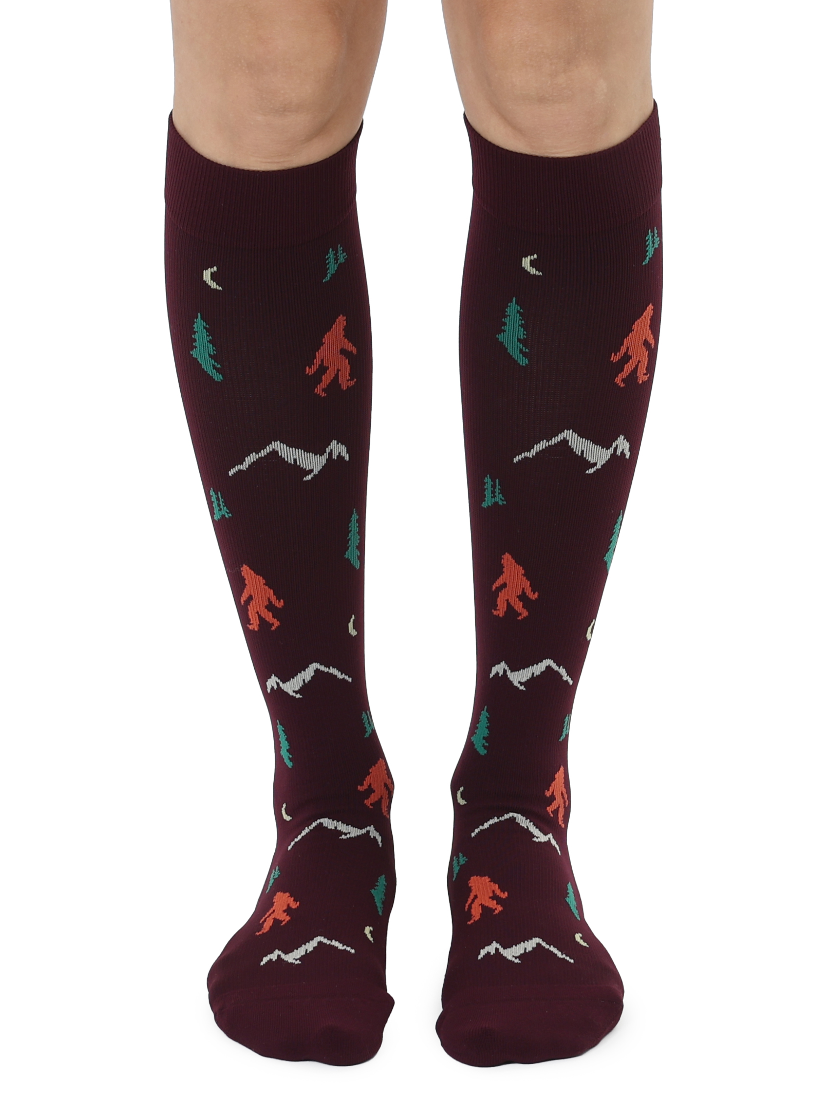 Picture of Bigfoot Compression