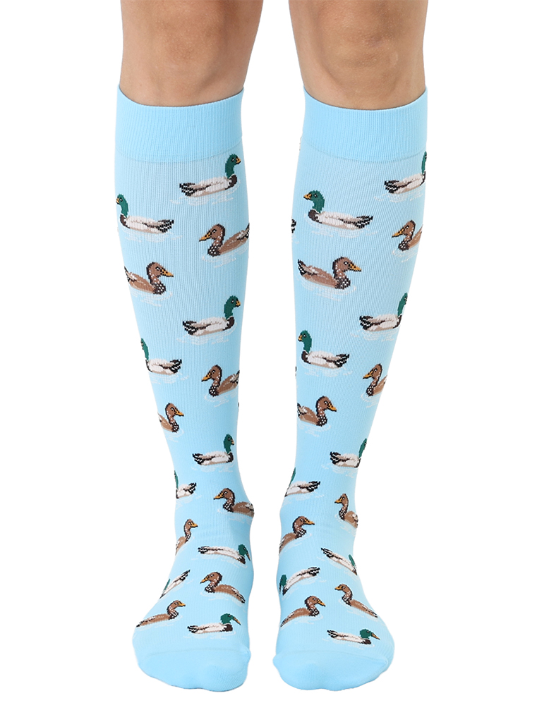 Picture of Ducks Compression