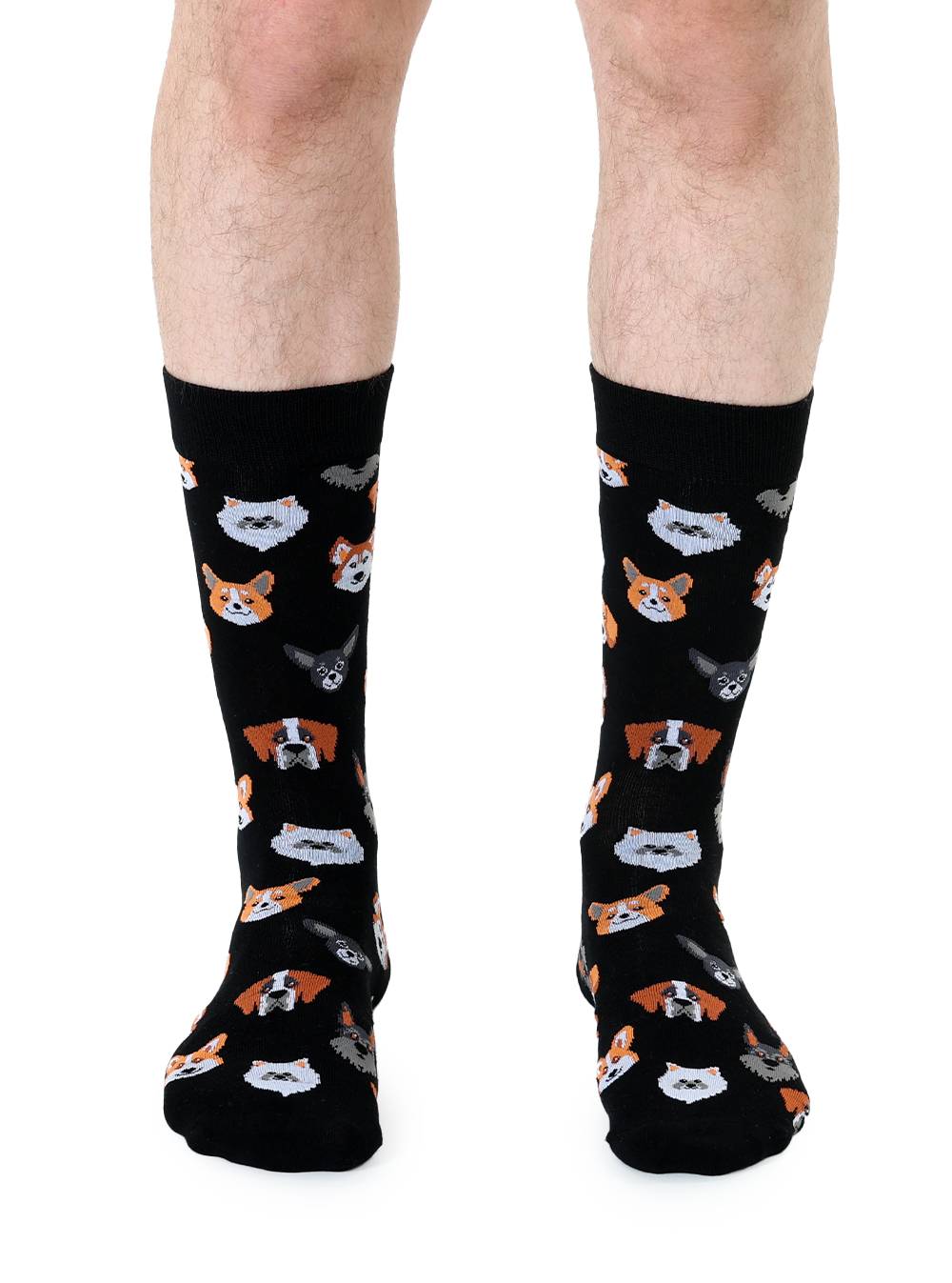 Picture of Dog Mens Bamboo Crew Socks