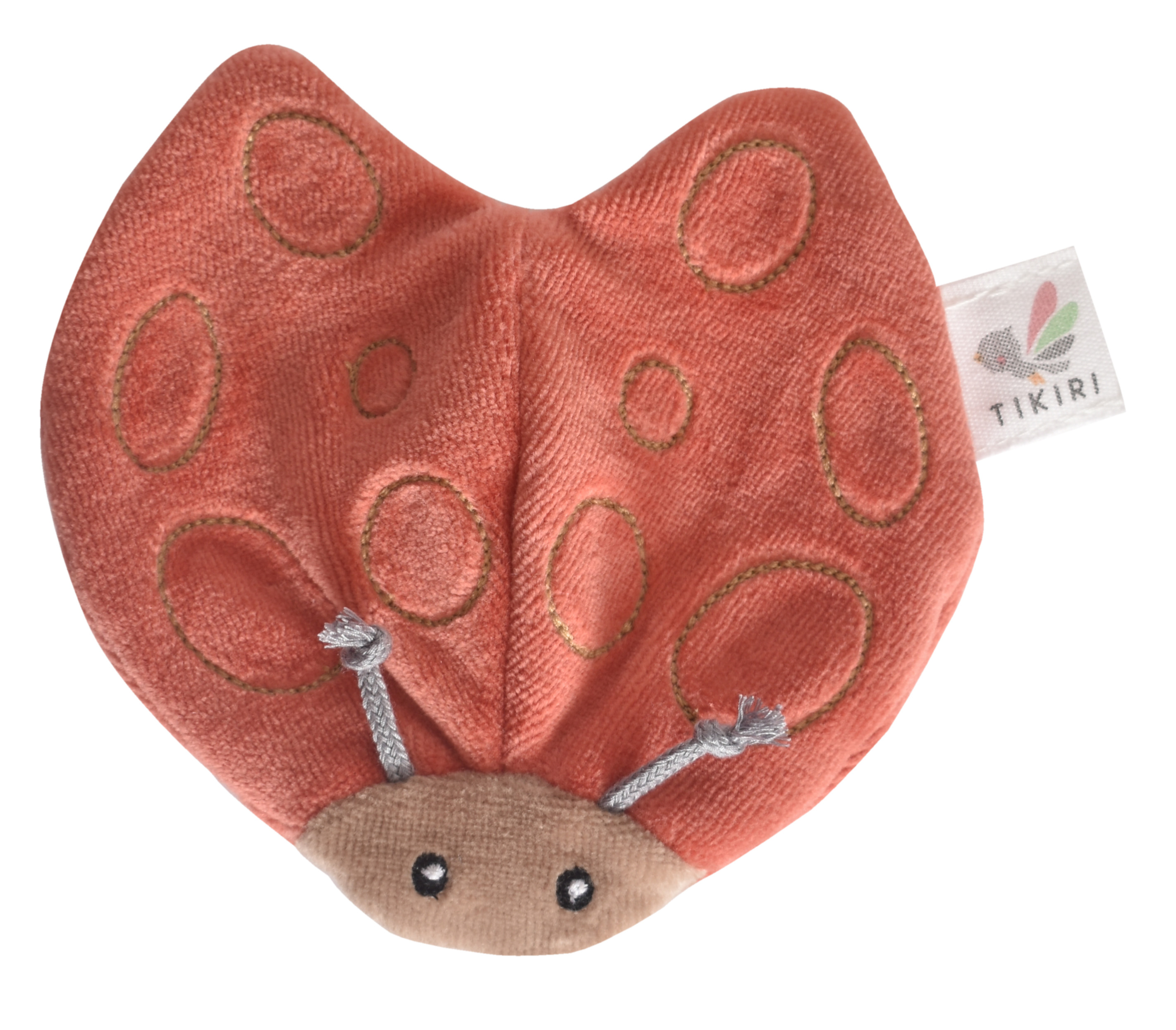 Picture of Ladybug with Crinkle