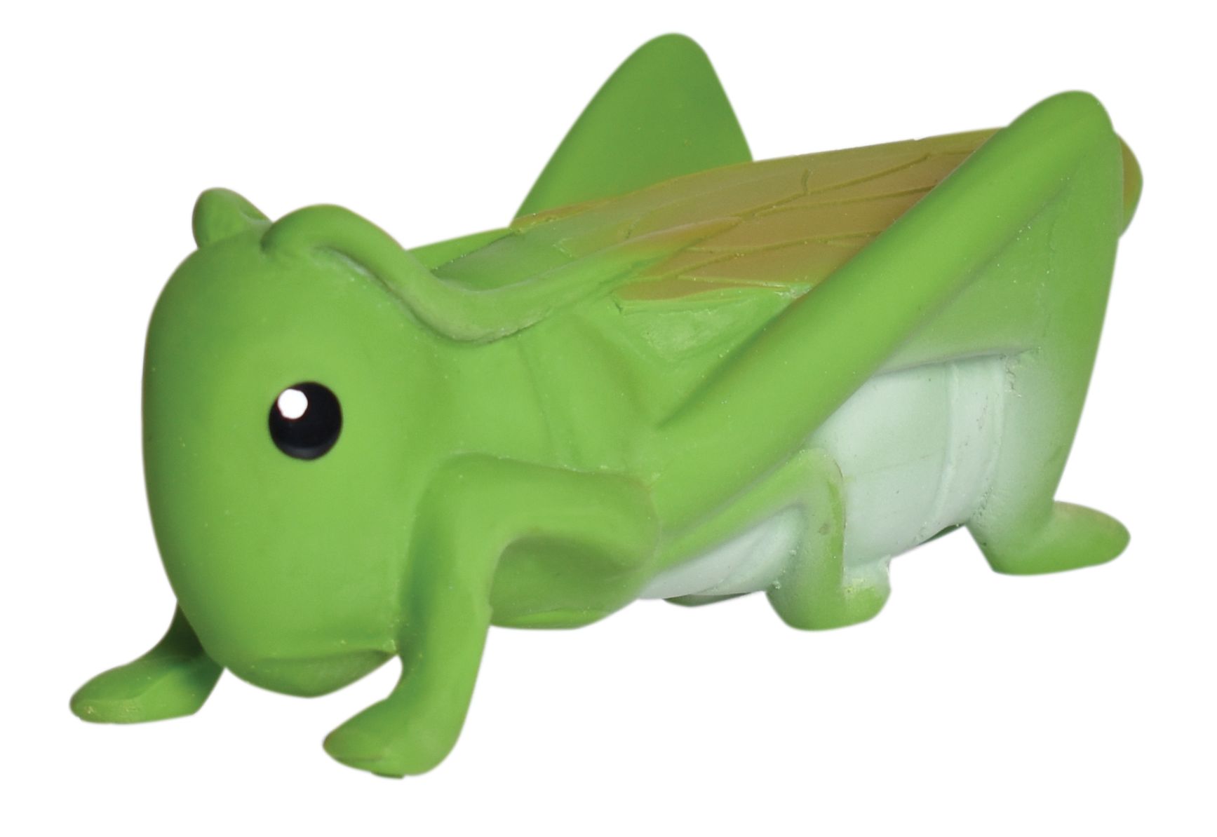Picture of Grasshopper Nat. Rubber Teether, Rattle & Bath