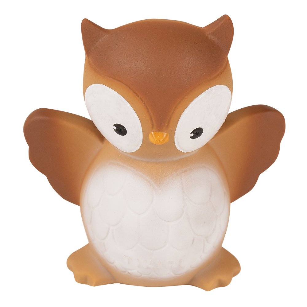 Picture of Owl