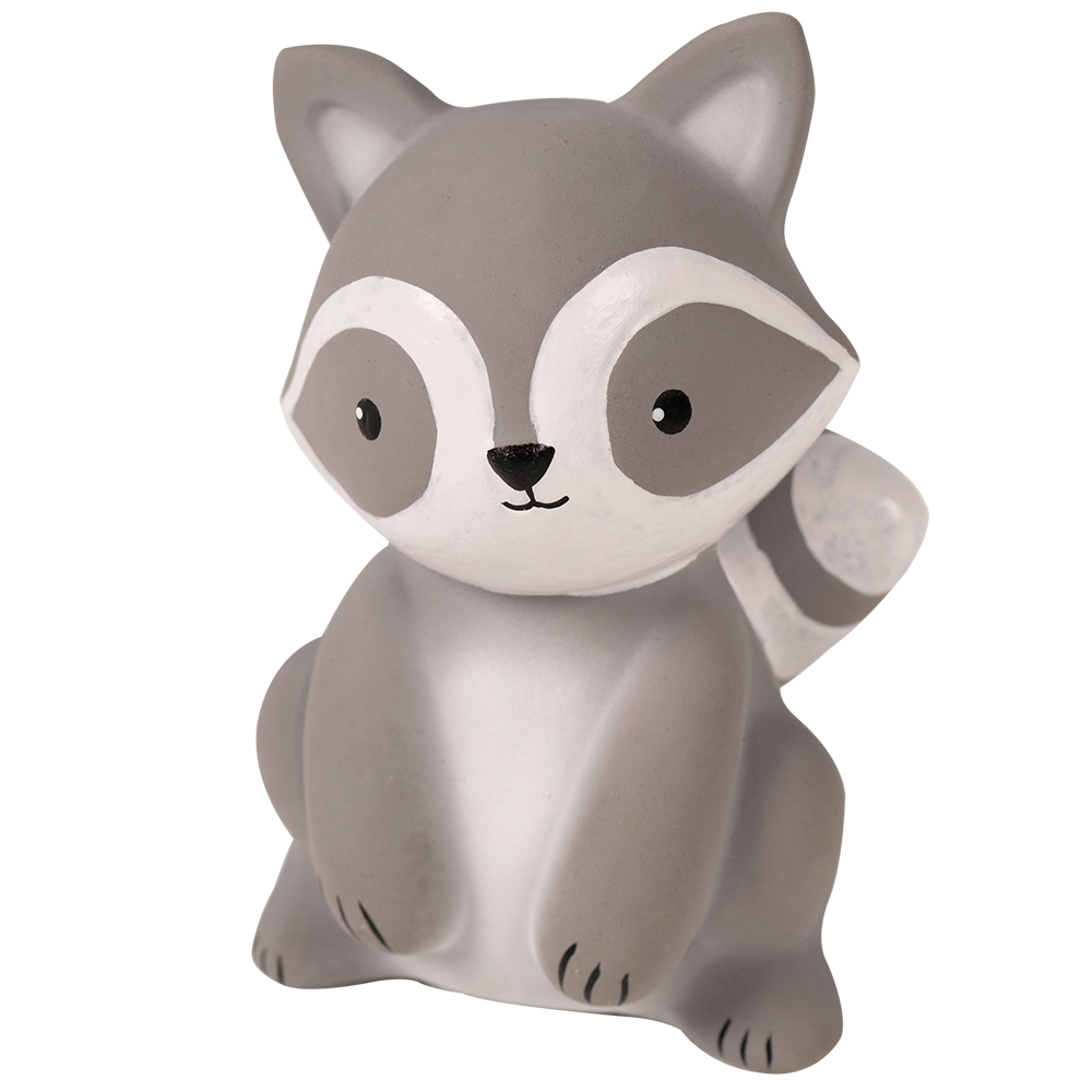Picture of Racoon