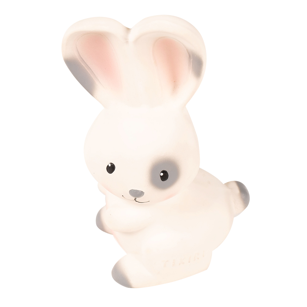 Picture of Bunny