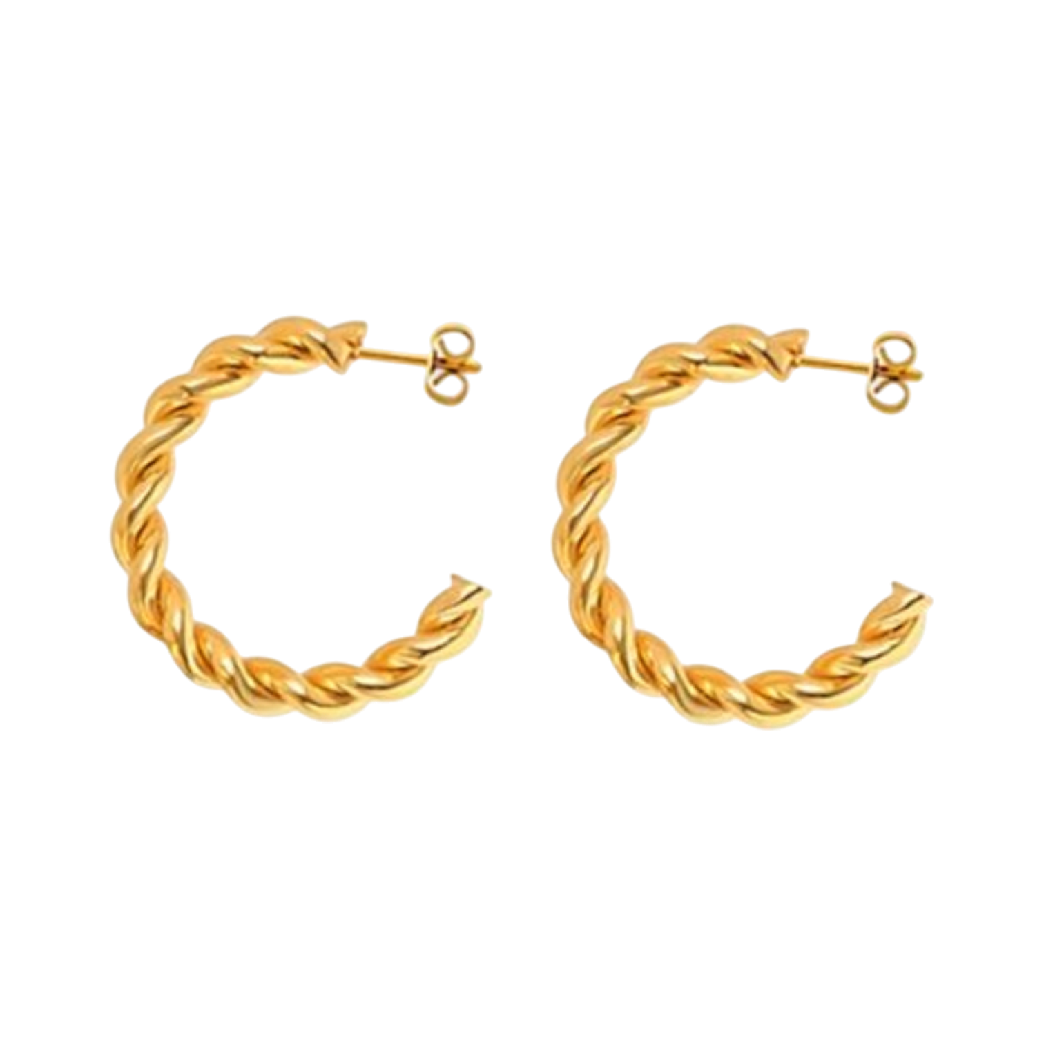 Picture of Earrings: Twisted Hoops