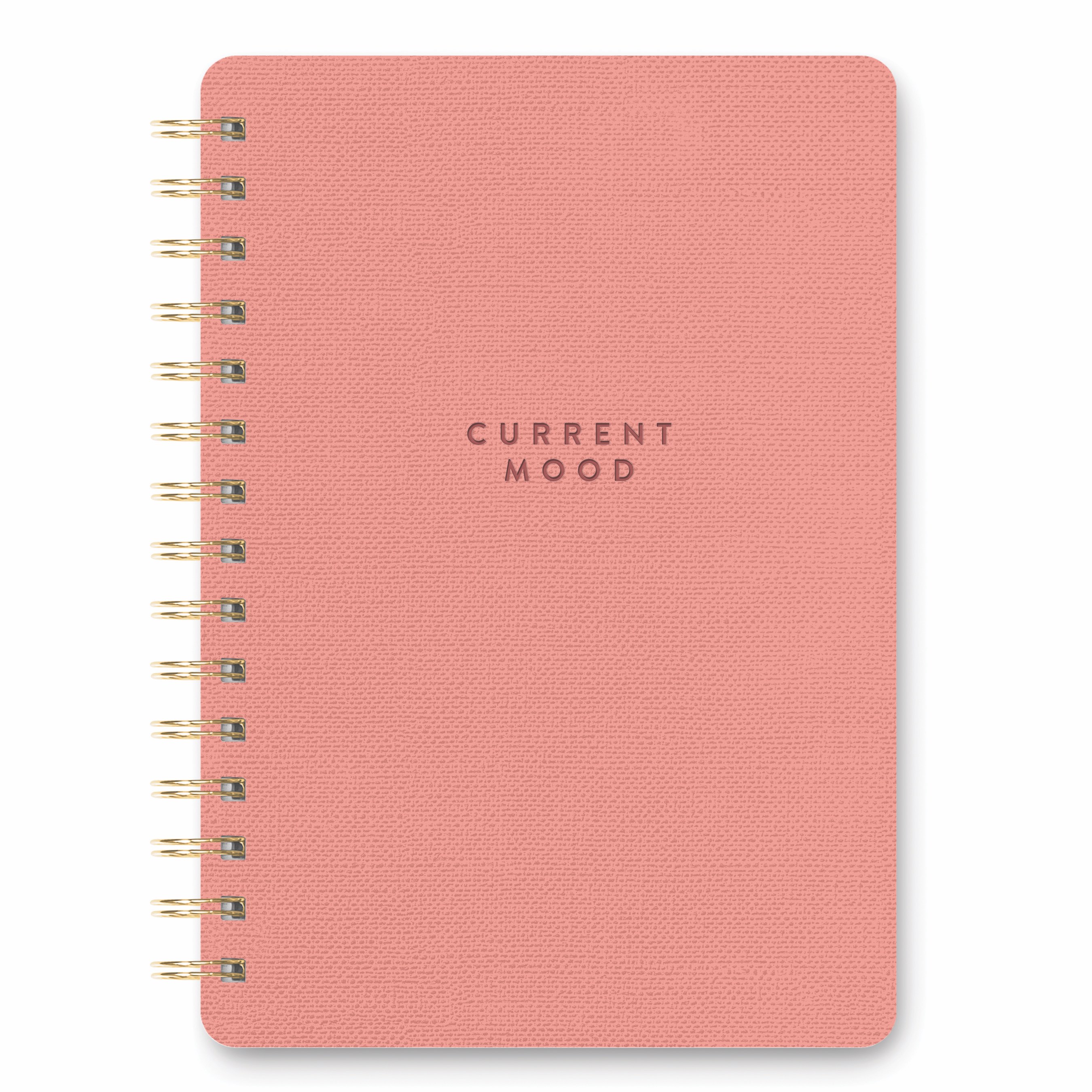 Picture of Current Mood (Coral Pink) Agatha Notebook