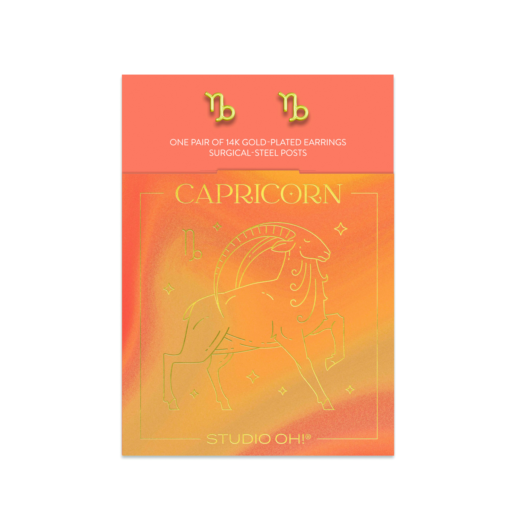 Picture of Capricorn Zodiac Earrings