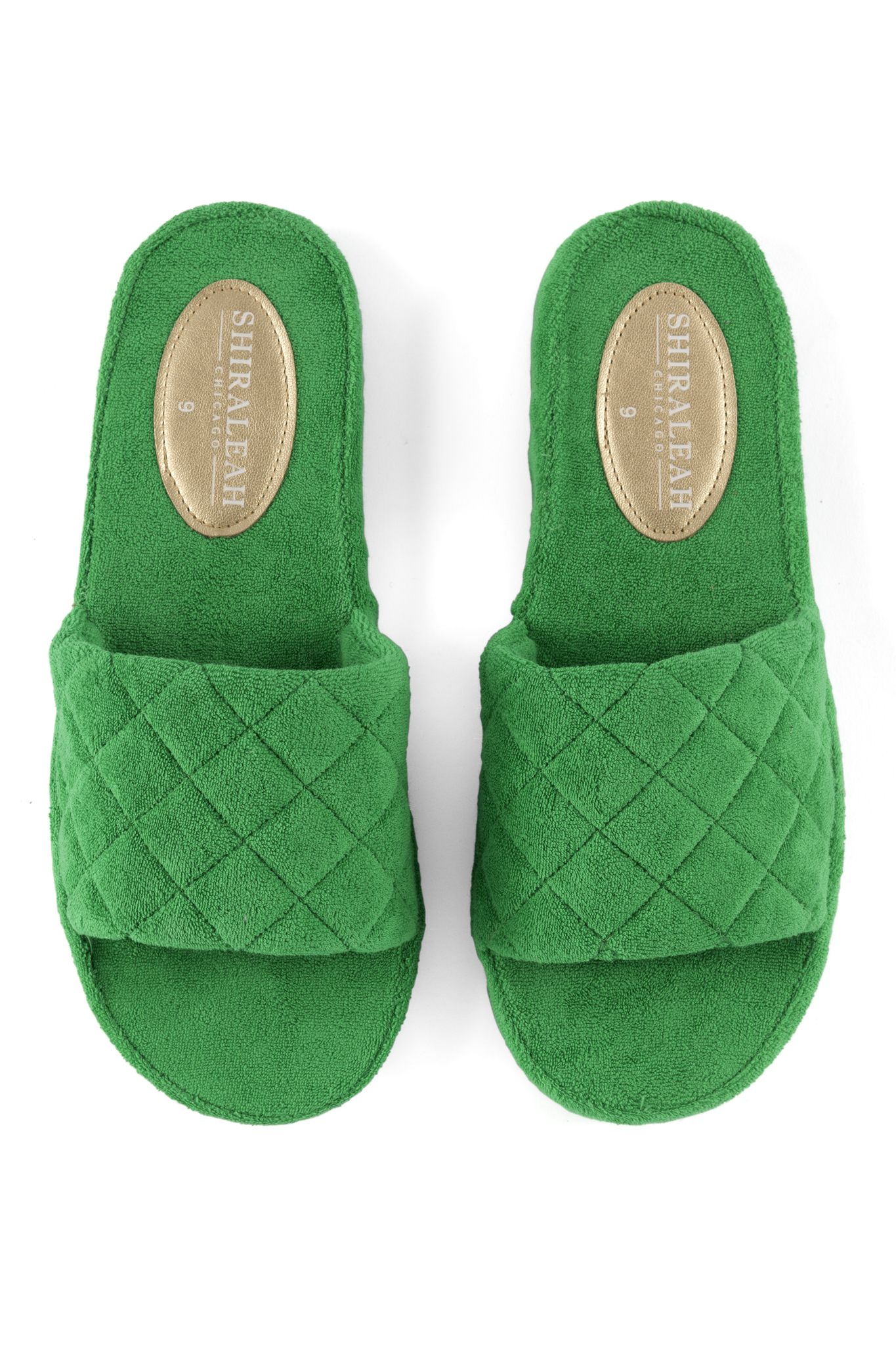 Picture of ASST/6 SIZES SOL POOL SL,GREE