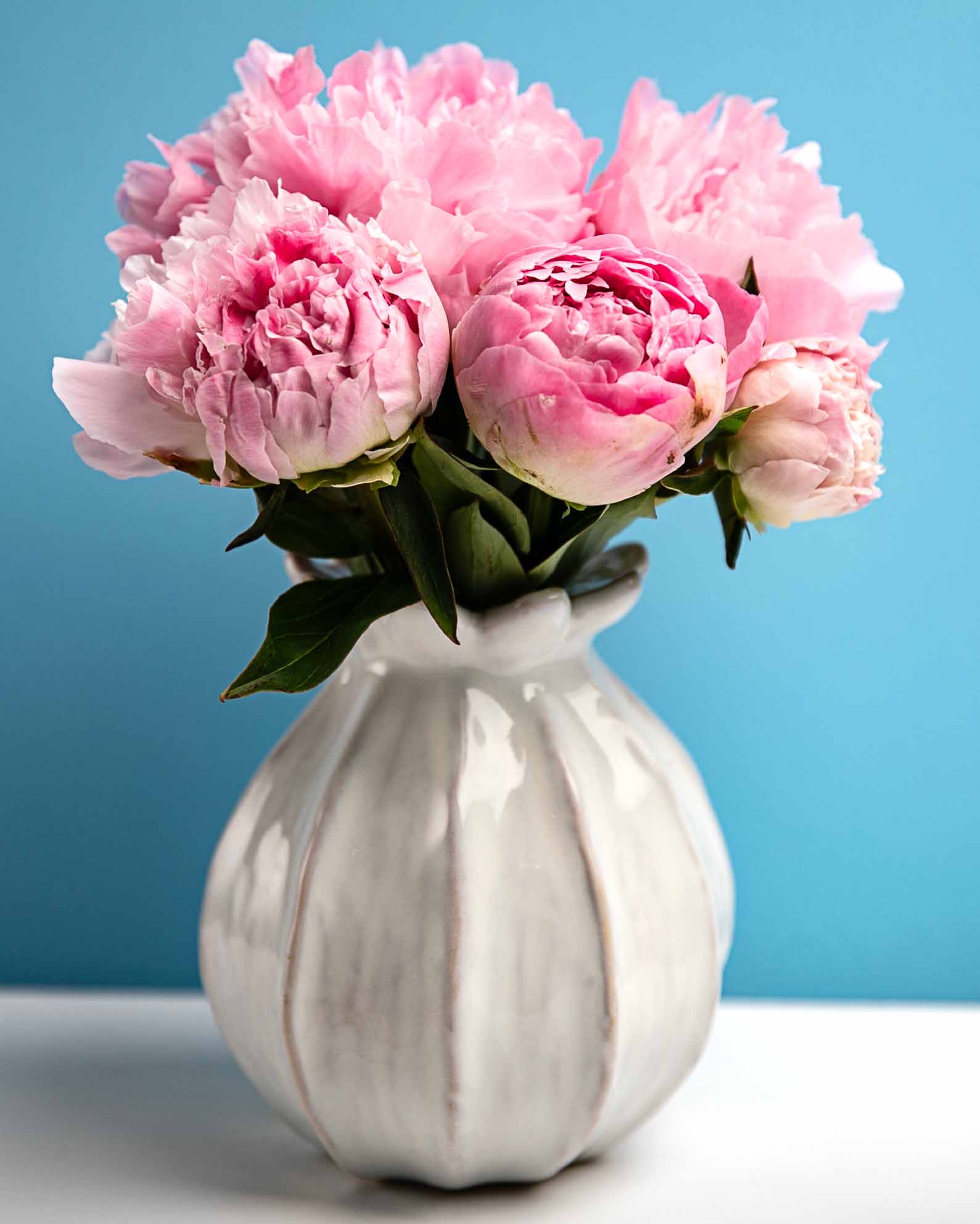 Picture of Peony Parade