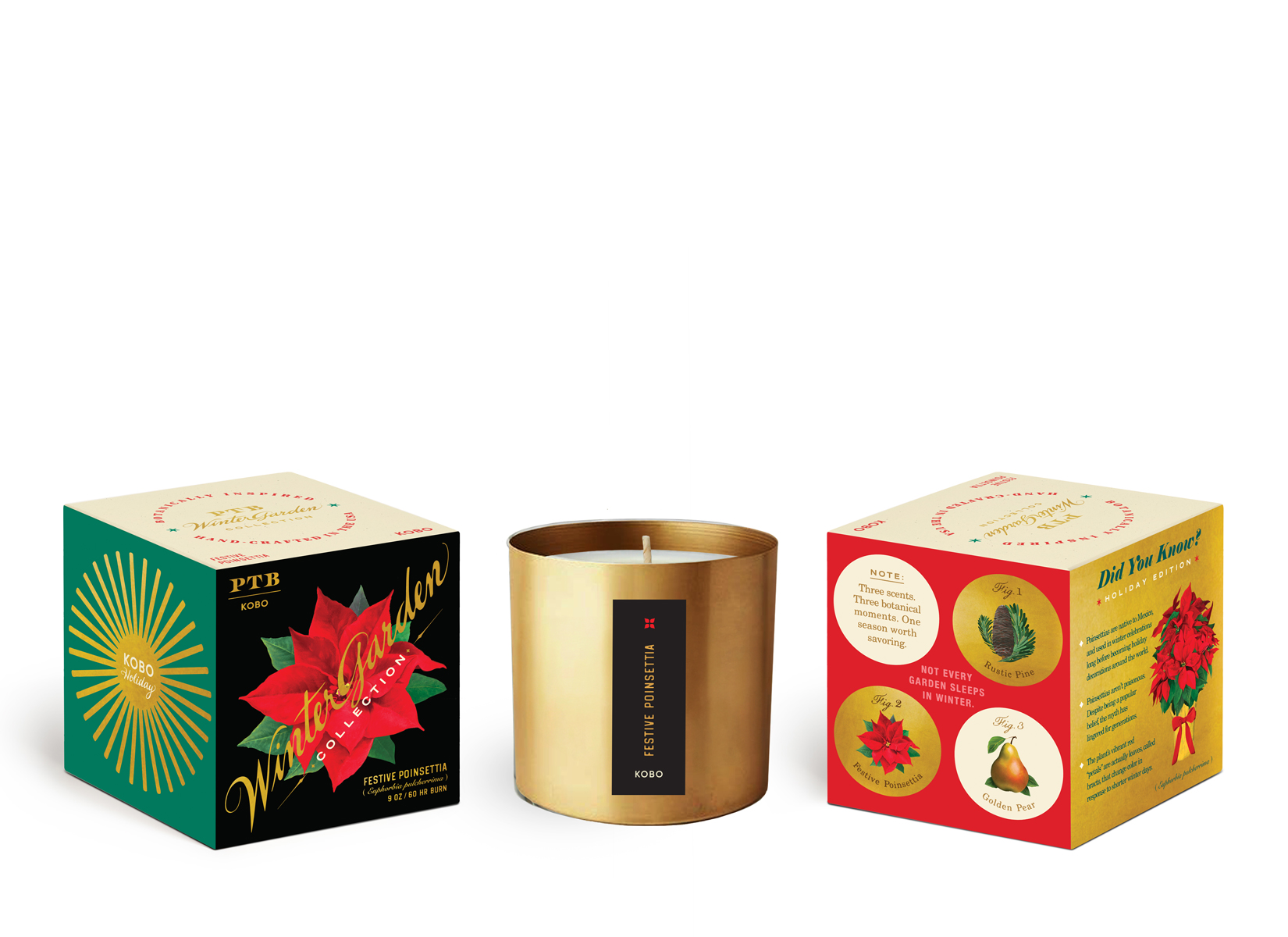 Picture of Winter Garden Festive Poinsettia Candle (9 oz)