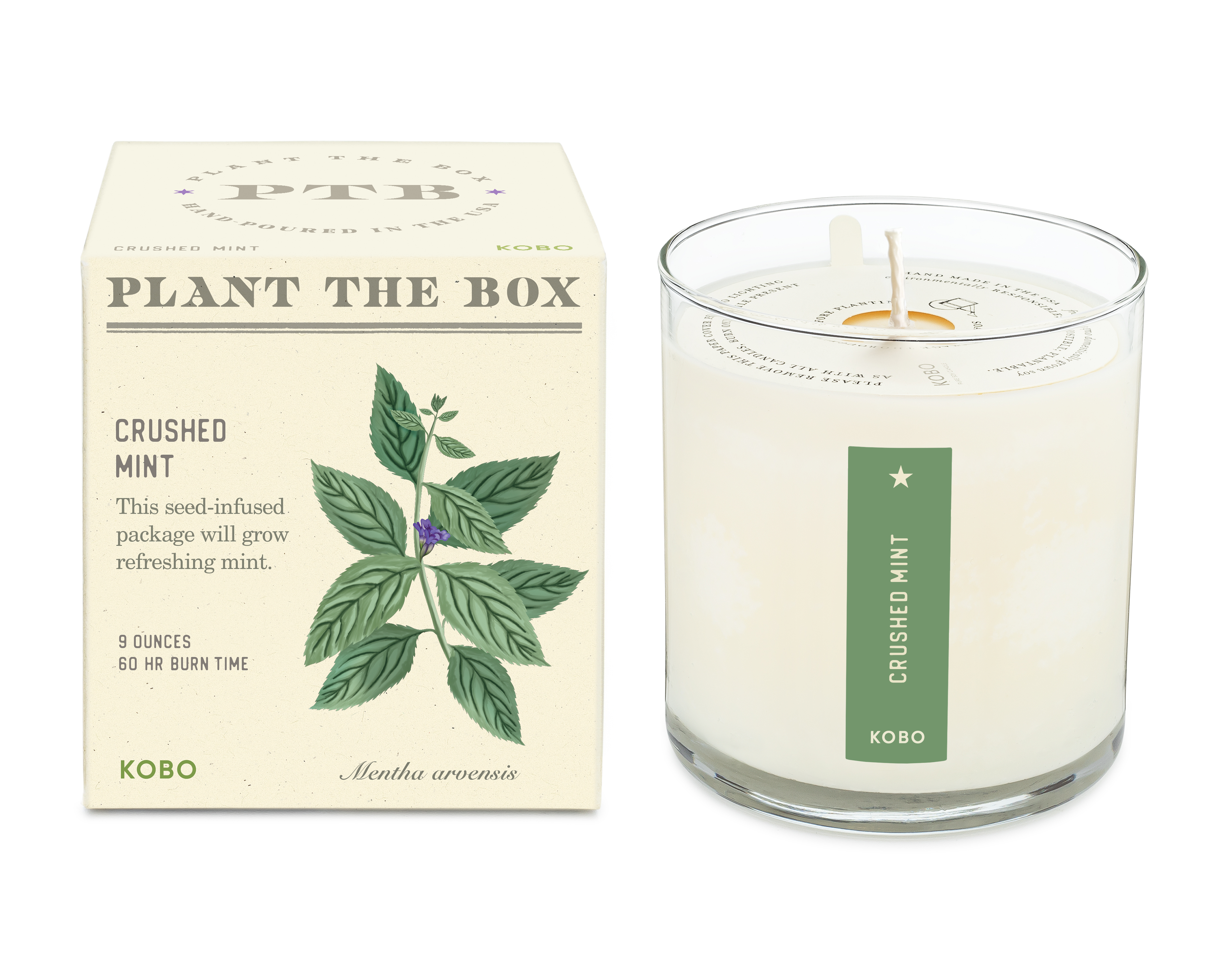 Picture of Crushed Mint - Plant the Box Candle - 9oz.