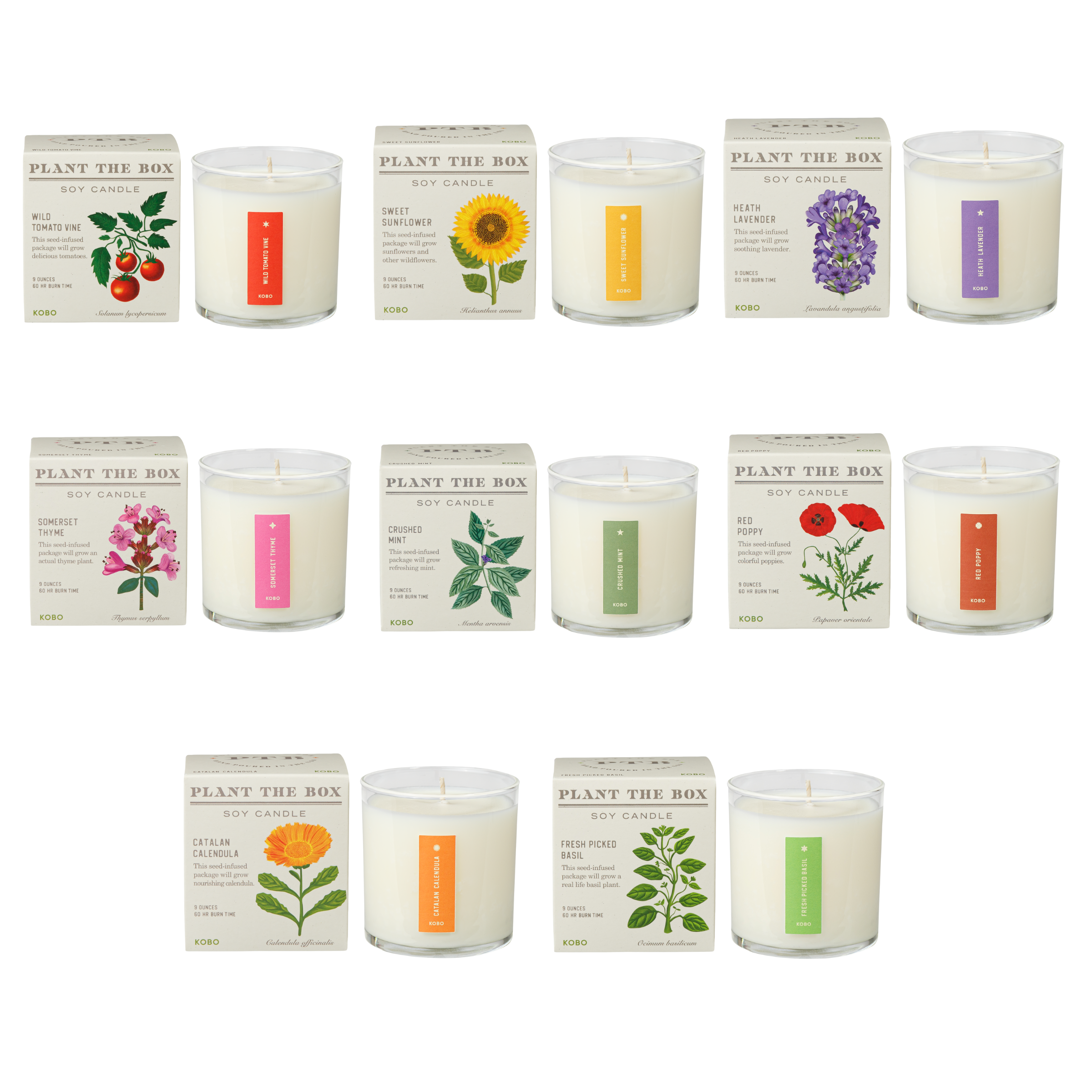 Picture of Plant the Box 9oz. Candles Prepack