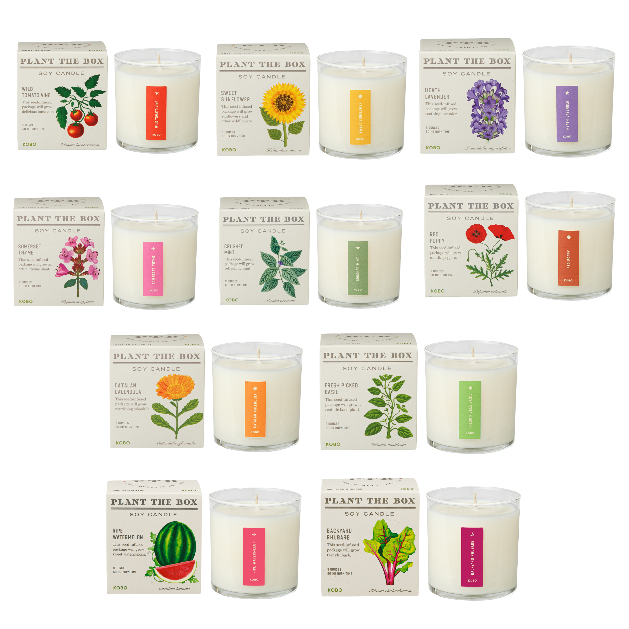 Picture of Seasonal Plant the Box 9oz. Candles Prepack