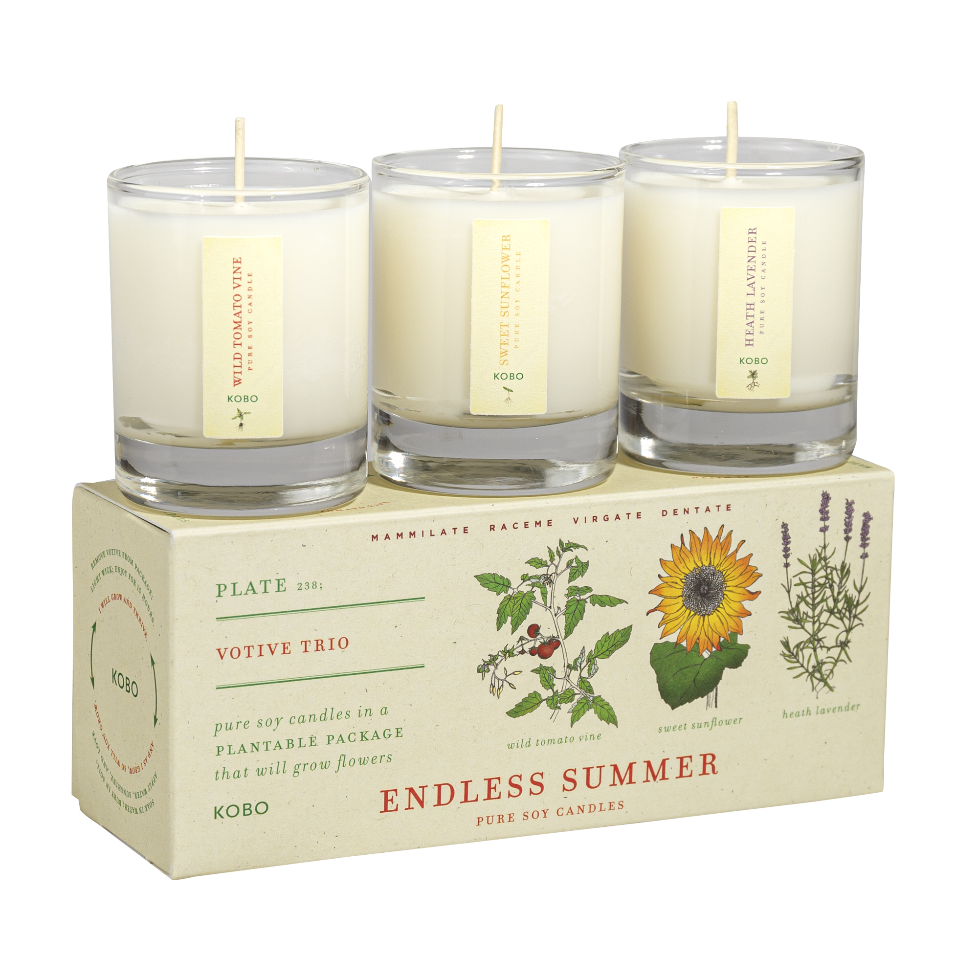Picture of Endless Summer - Plant the Box Votive Candle Trio