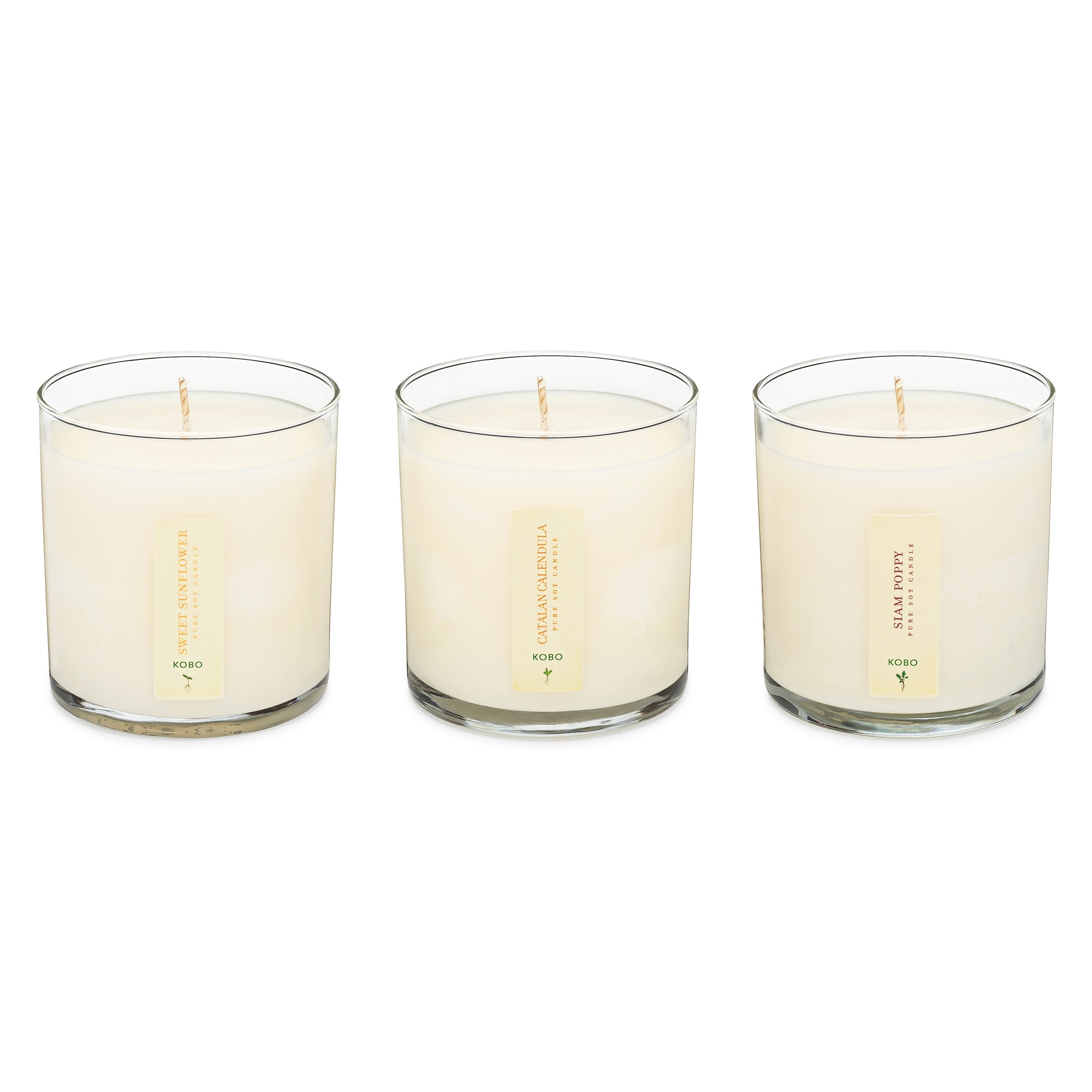 Picture of Floral Bouquet - Plant the Box Votive Candle Trio