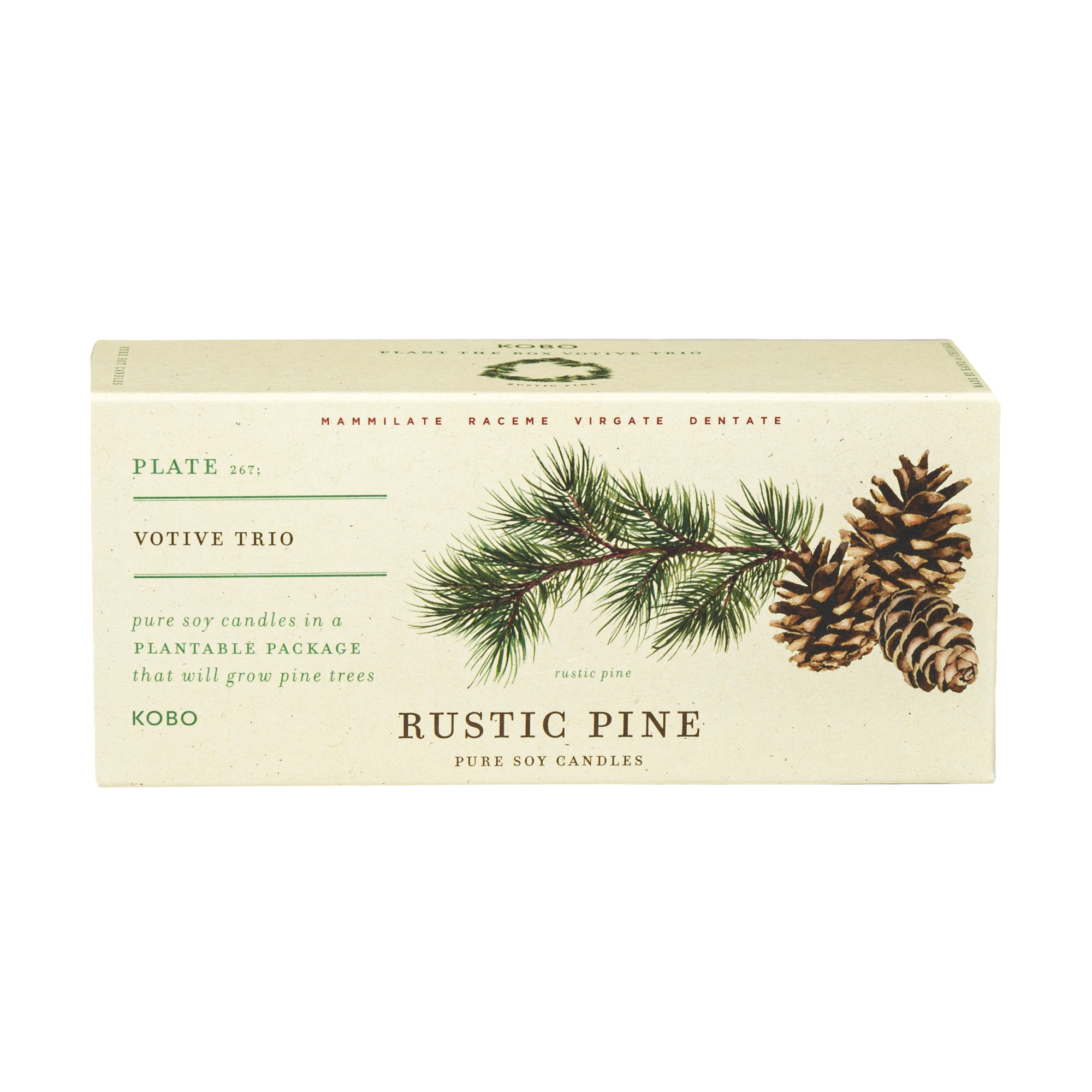 Picture of Rustic Pine - Plant the Box Votive Candle Trio - 3