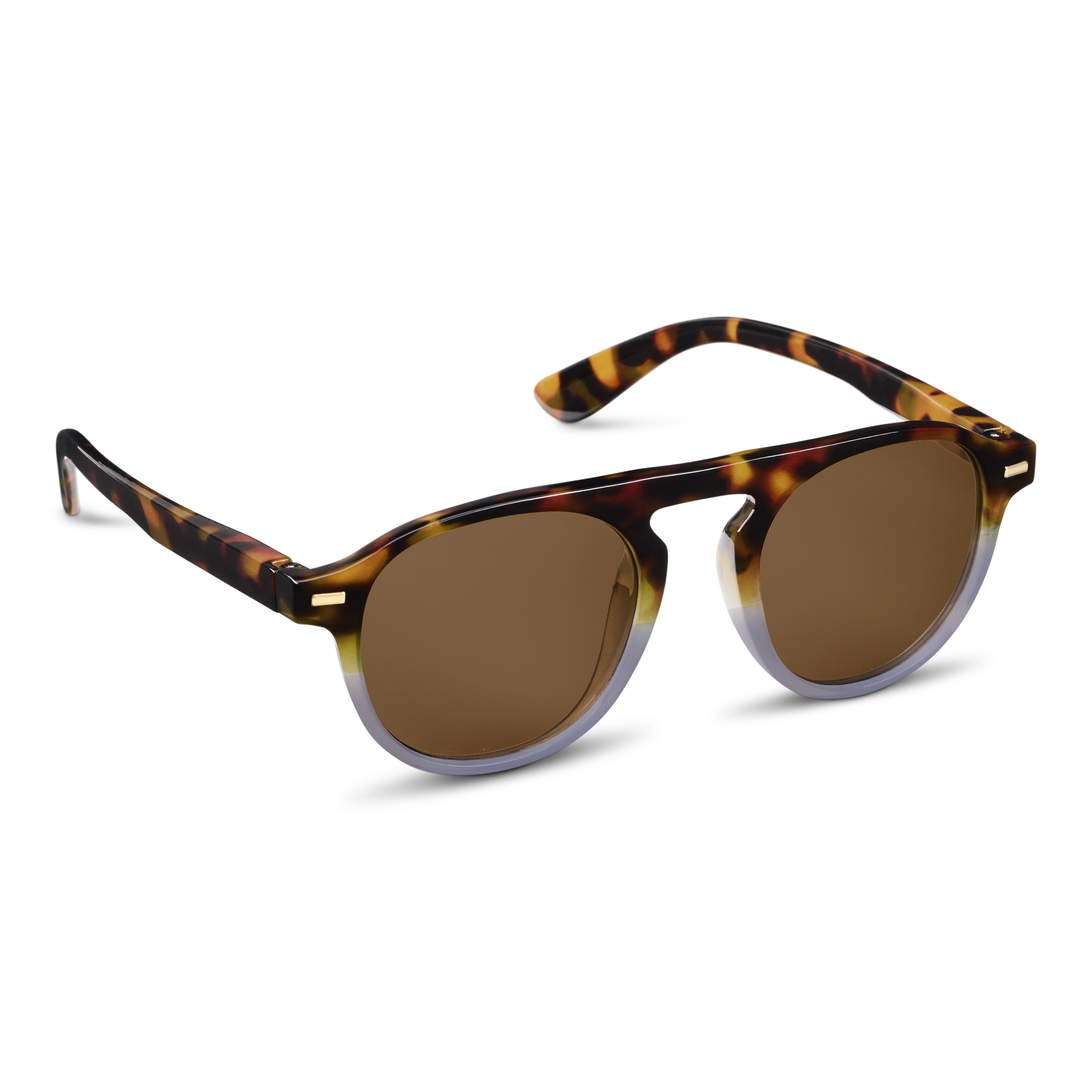 Picture of Neptune Bifocal Sun - Tortoise/Cloud