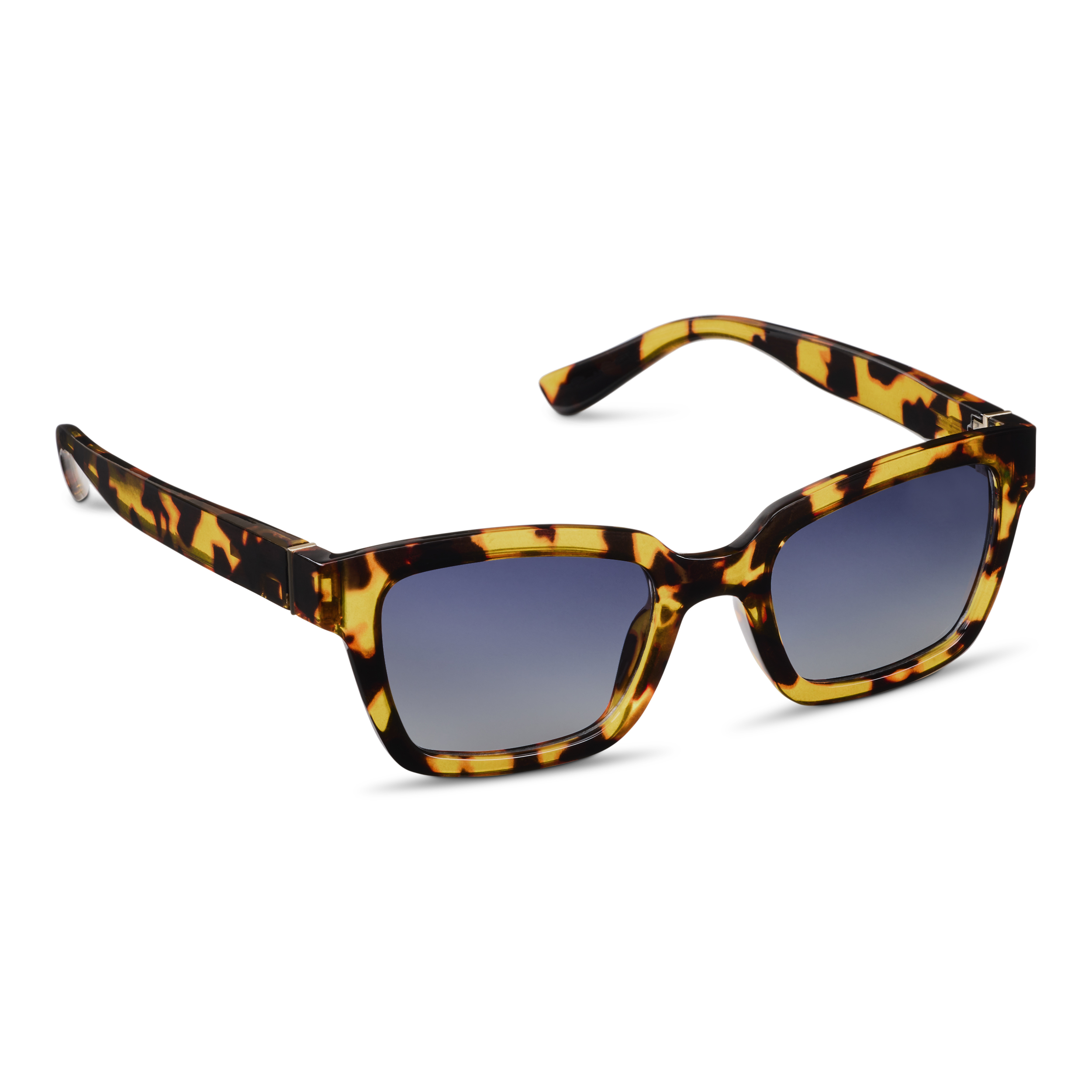 Picture of Myrtle Polarized Sun - Tokyo Tortoise