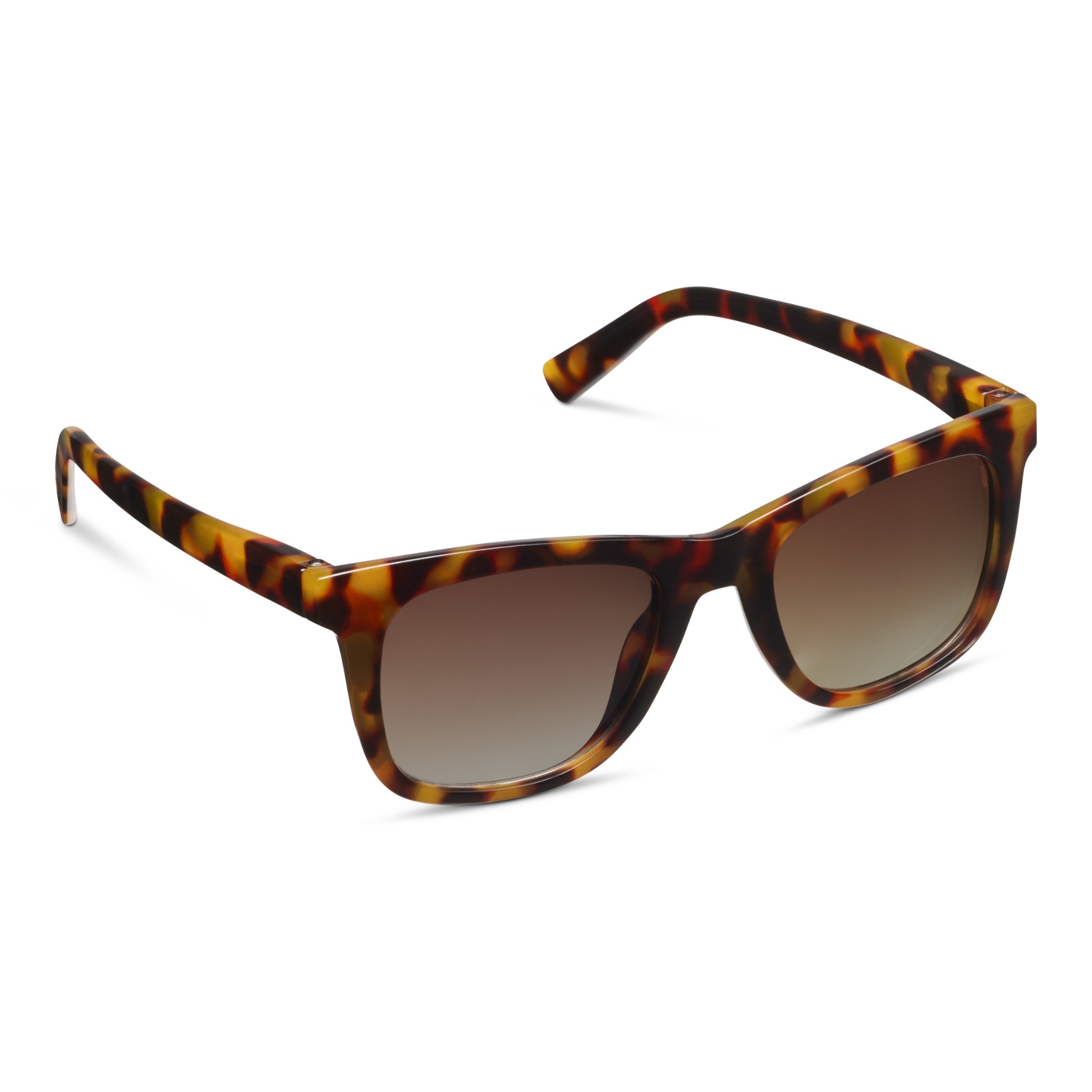 Picture of Harbor Bifocal Sun - Tortoise +2.00