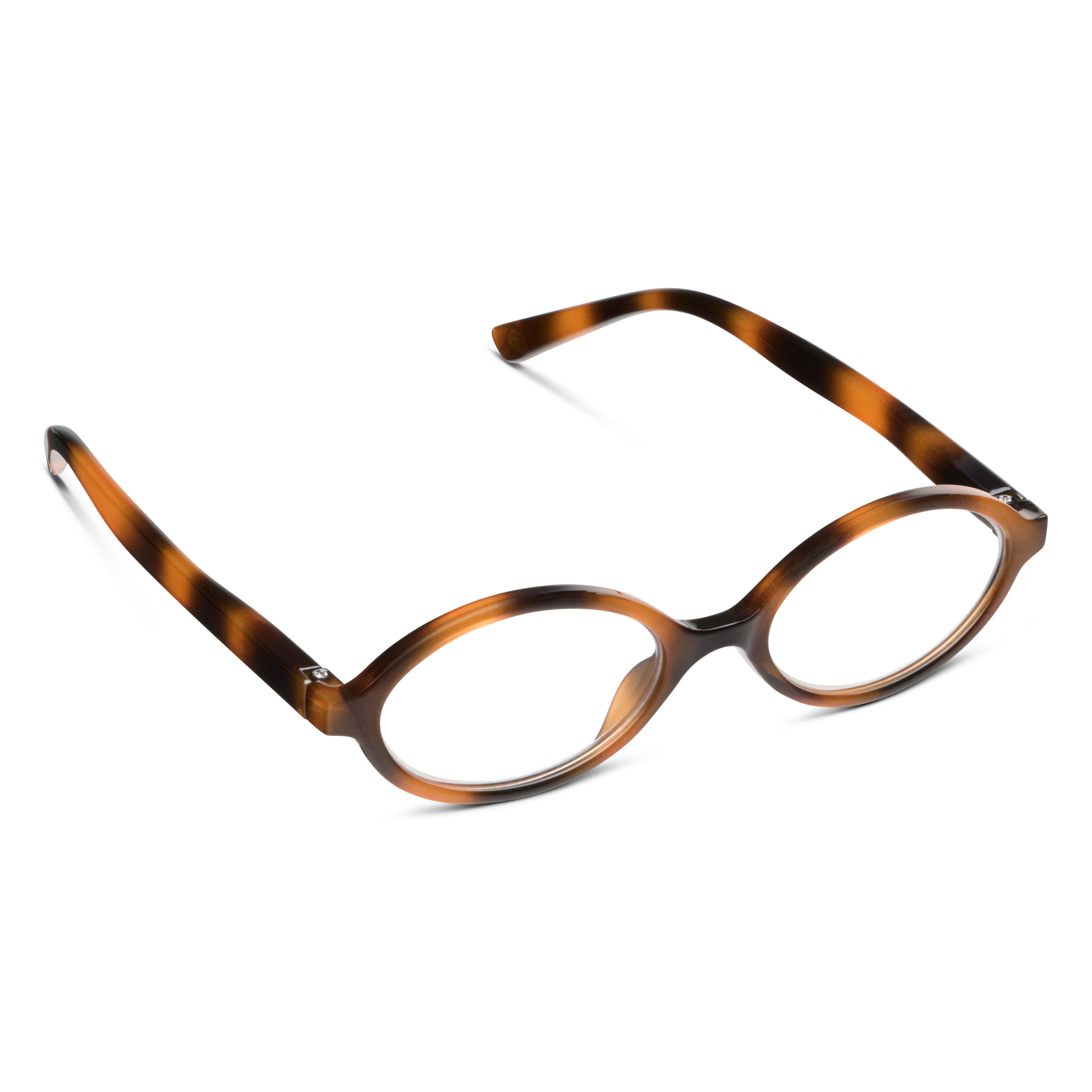 Picture of Filly - Mocha Tortoise  +2.00