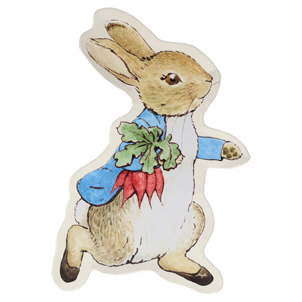 Picture of Peter Rabbit™ Reusable Plate