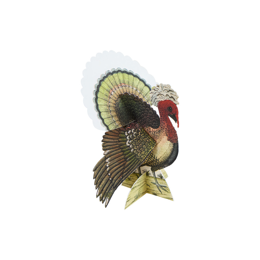 Picture of Meri Meri x John Derian Turkey Place Cards (x 6)