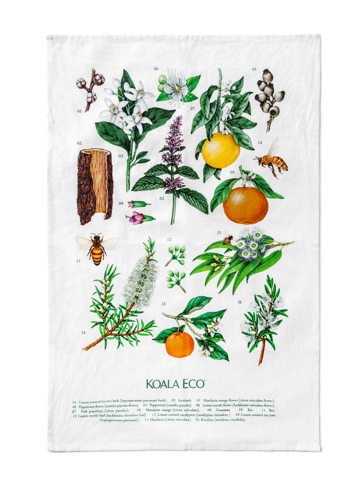 Picture of Tea Towel - Terra Botanica 