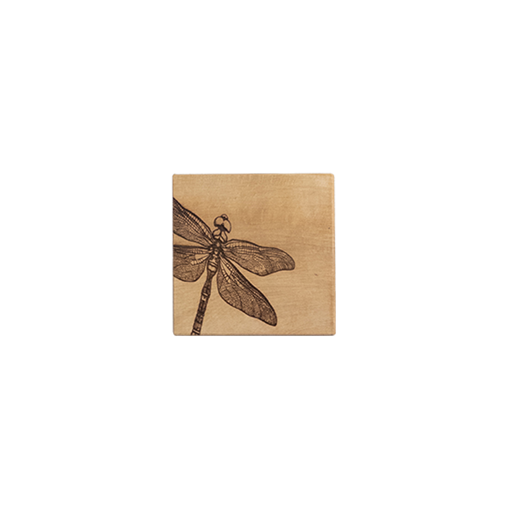 Picture of Beech Single Coaster - Dragonfly