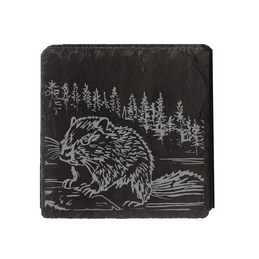 Picture of Single Slate Coaster - Beaver