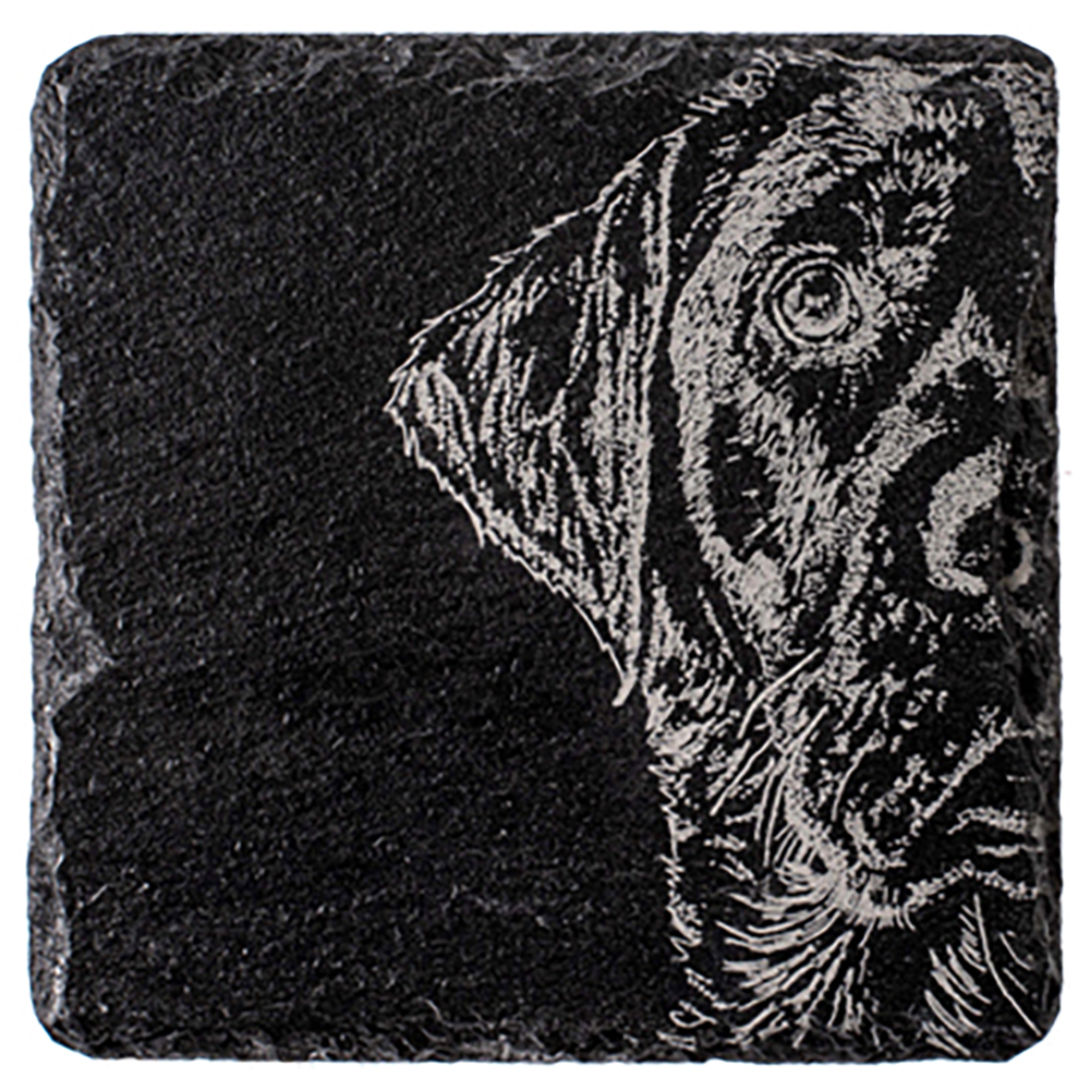 Picture of Single Slate Coaster - Labrador