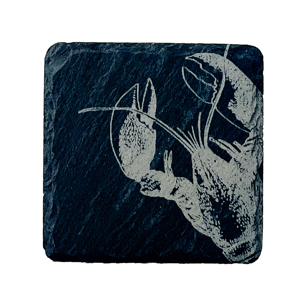 Picture of Single Slate Coaster - Lobster