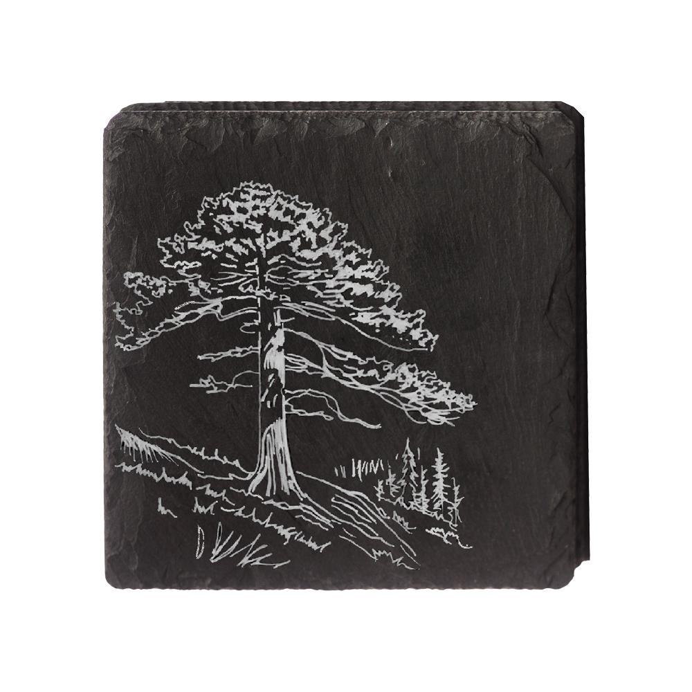 Picture of Single Slate Coaster - Red Cedar Tree