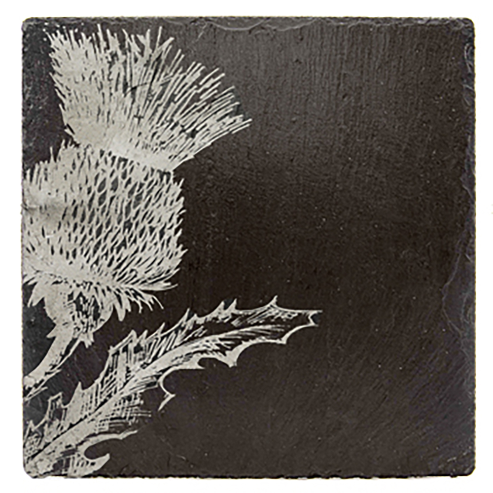 Picture of Single Slate Coaster - Thistle