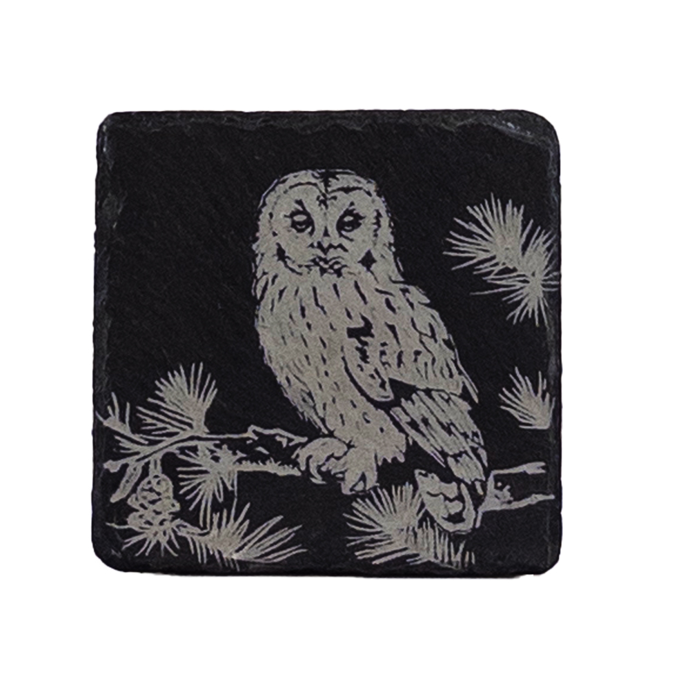 Picture of Single Slate Coaster - Tawny Owl