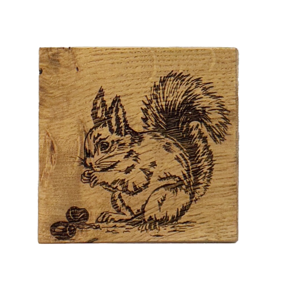 Picture of Single Oak Coaster - Red Squirrel