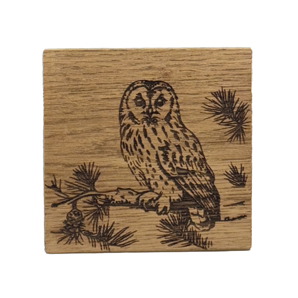 Picture of Single Oak Coaster - Tawny Owl