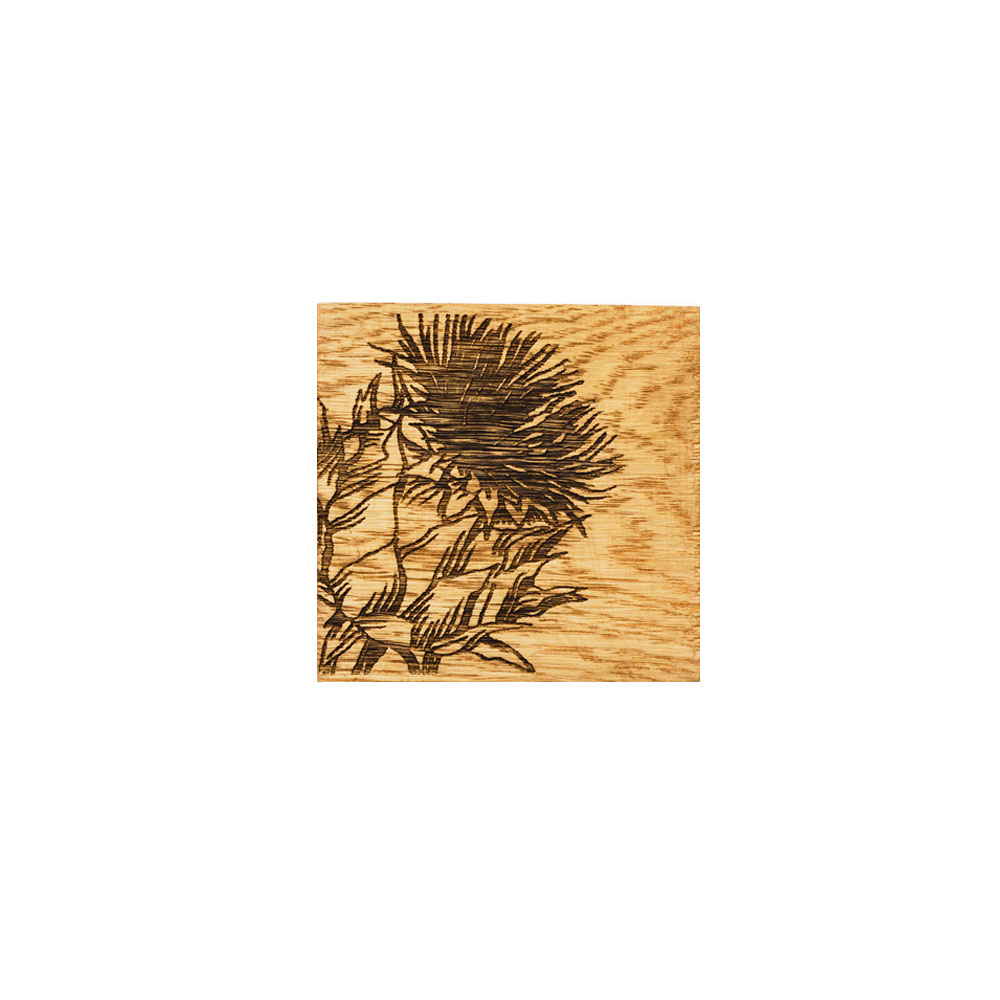Picture of Single Oak Coaster - Thistle Trio